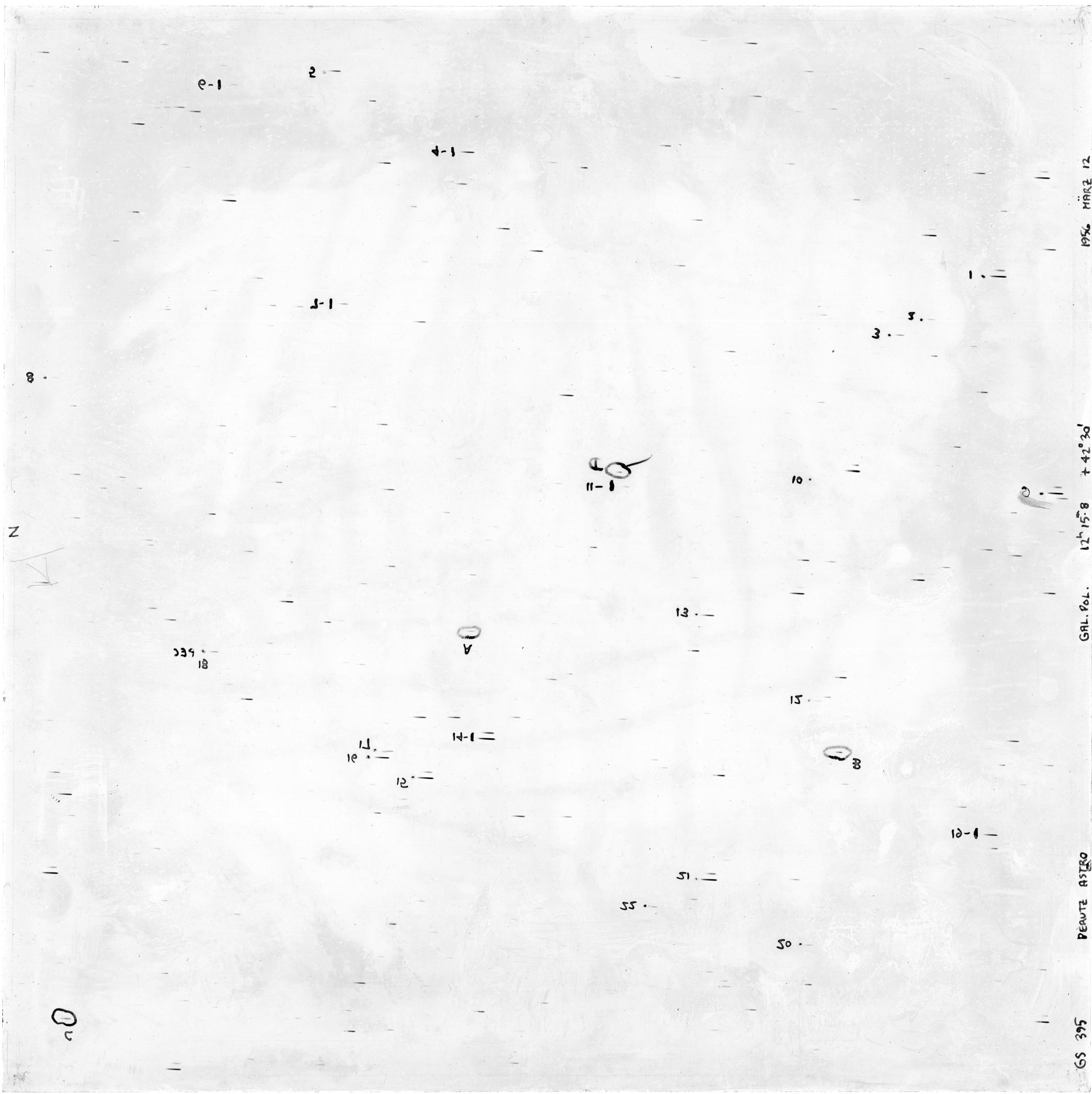 Scan GS00395
