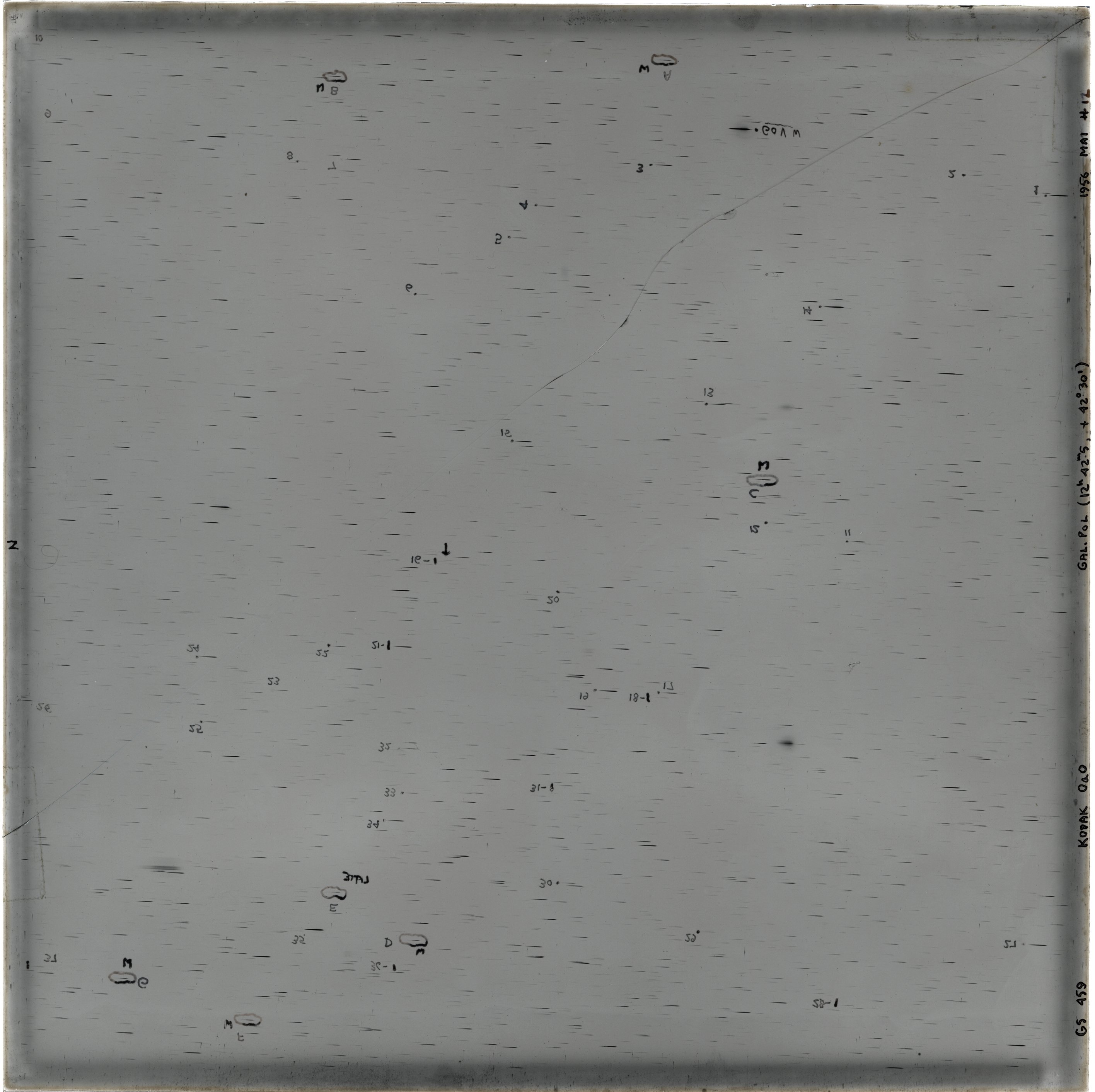 Scan GS00459