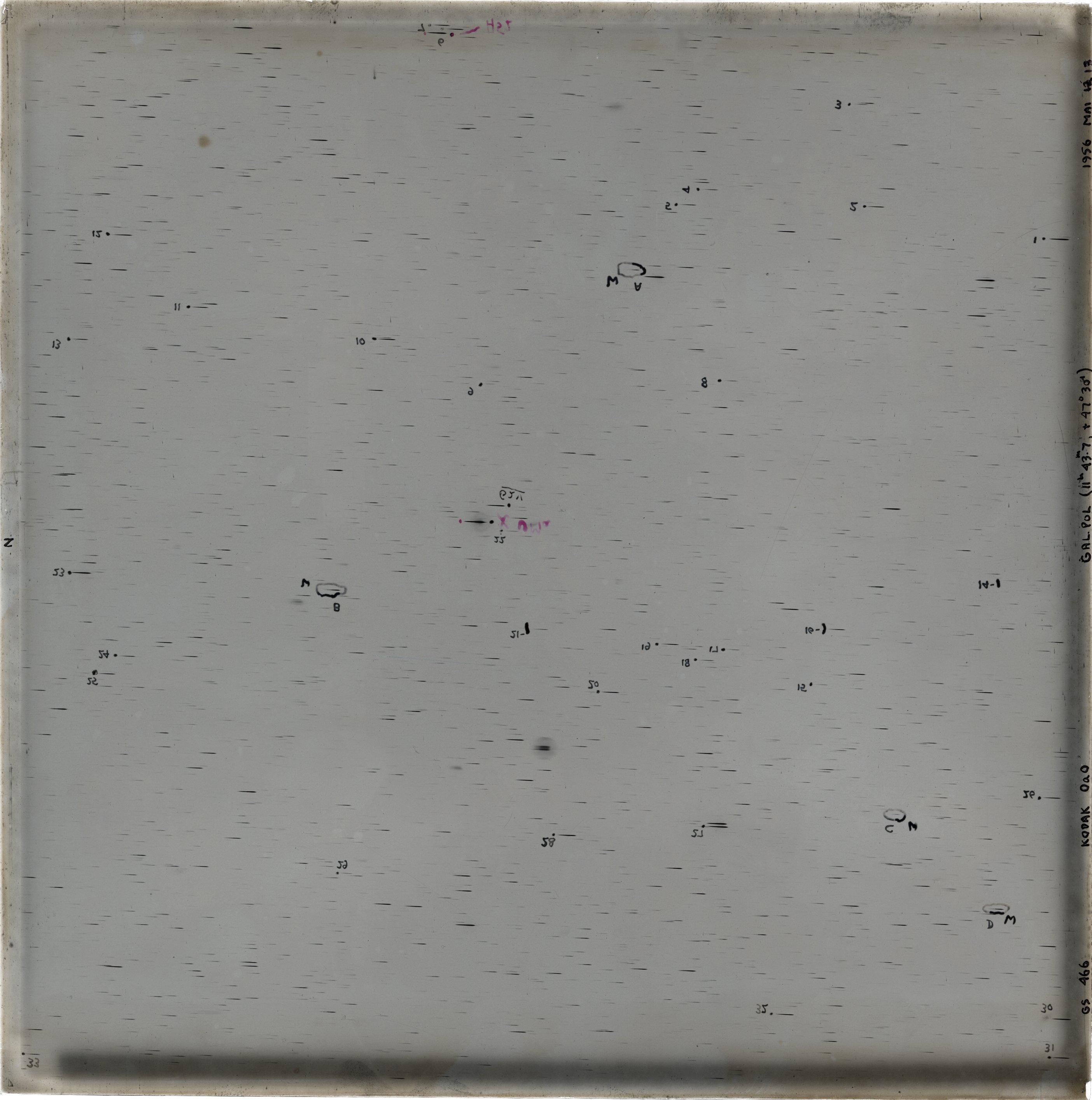 Scan GS00466