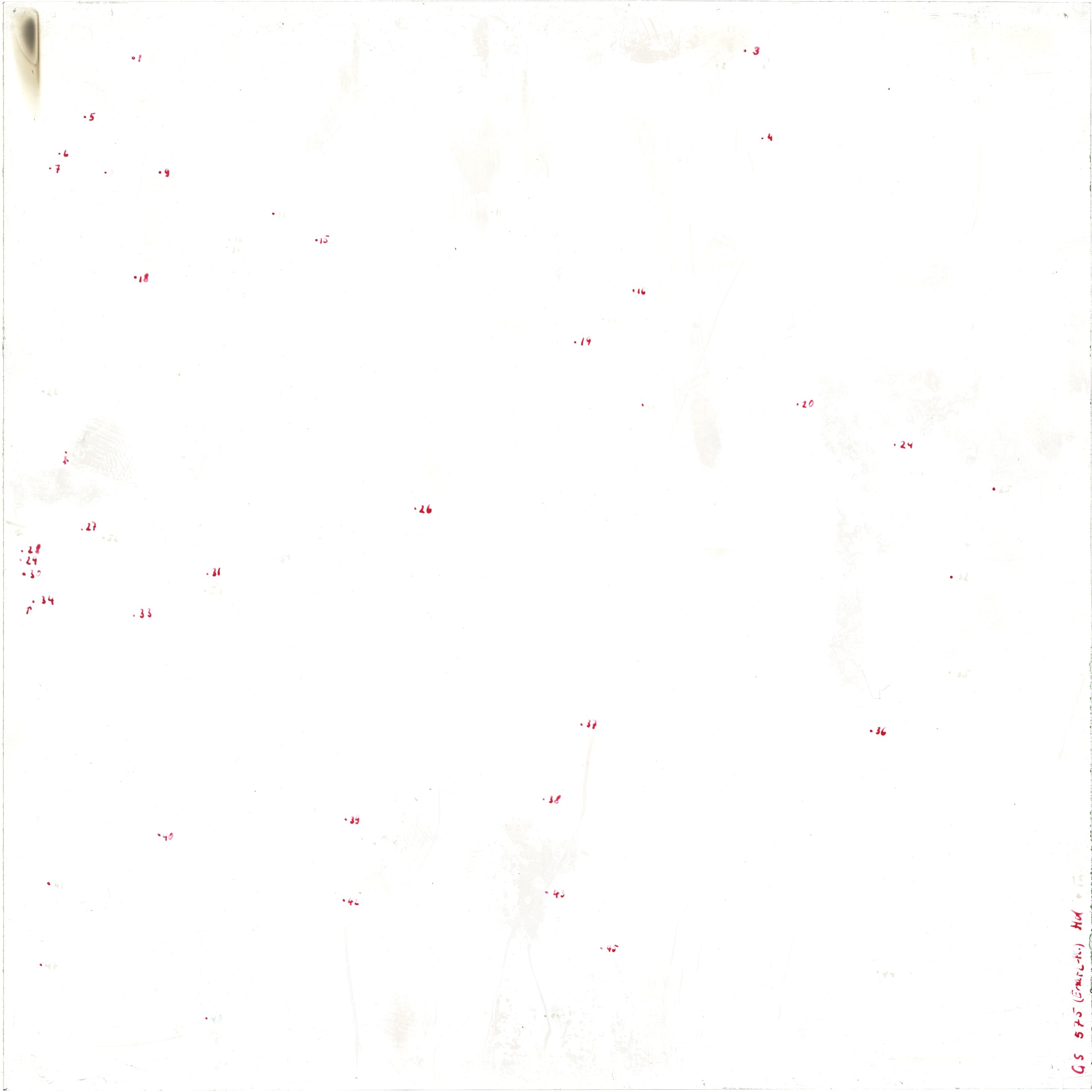 Scan GS00575a