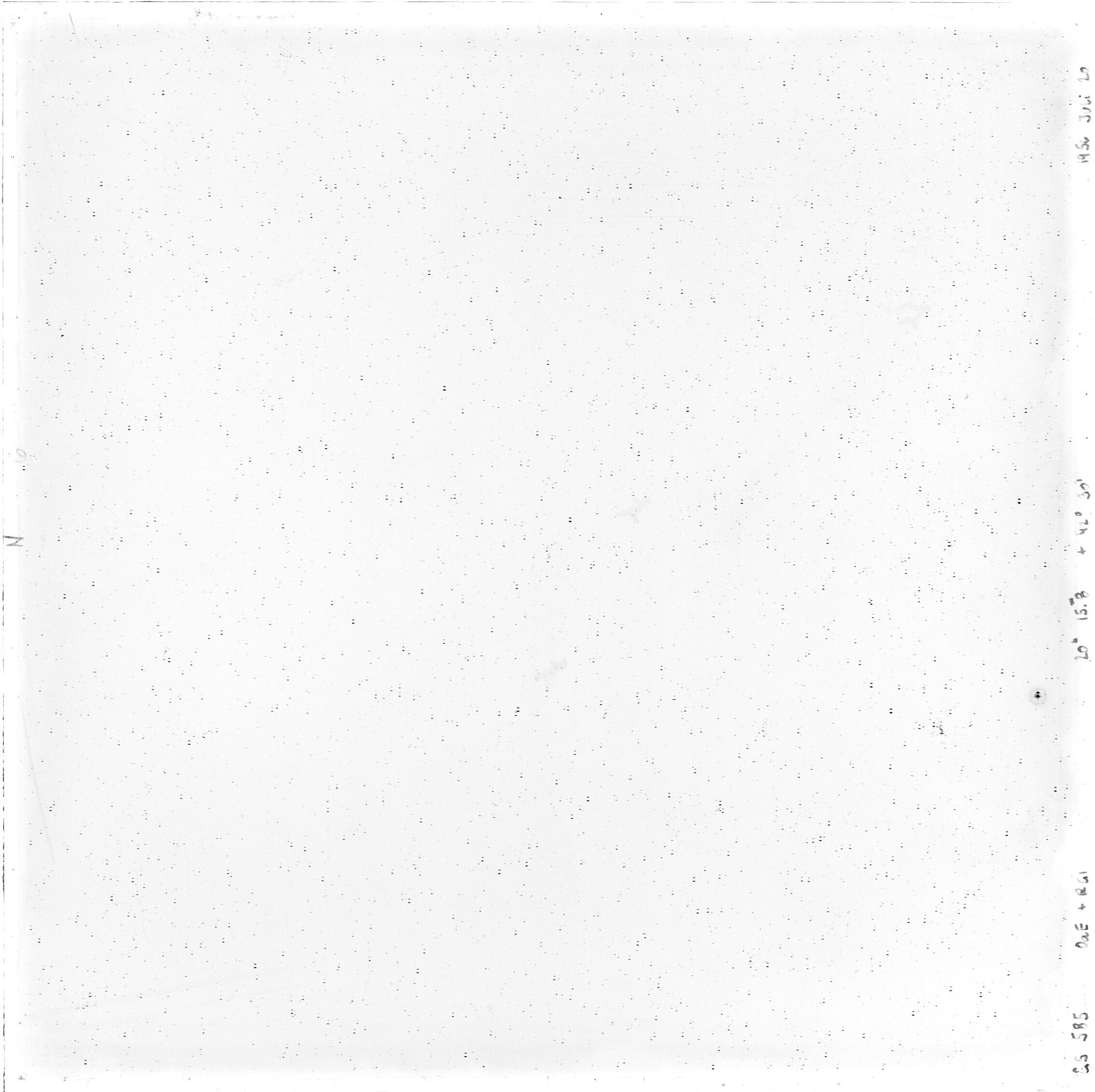 Scan GS00585