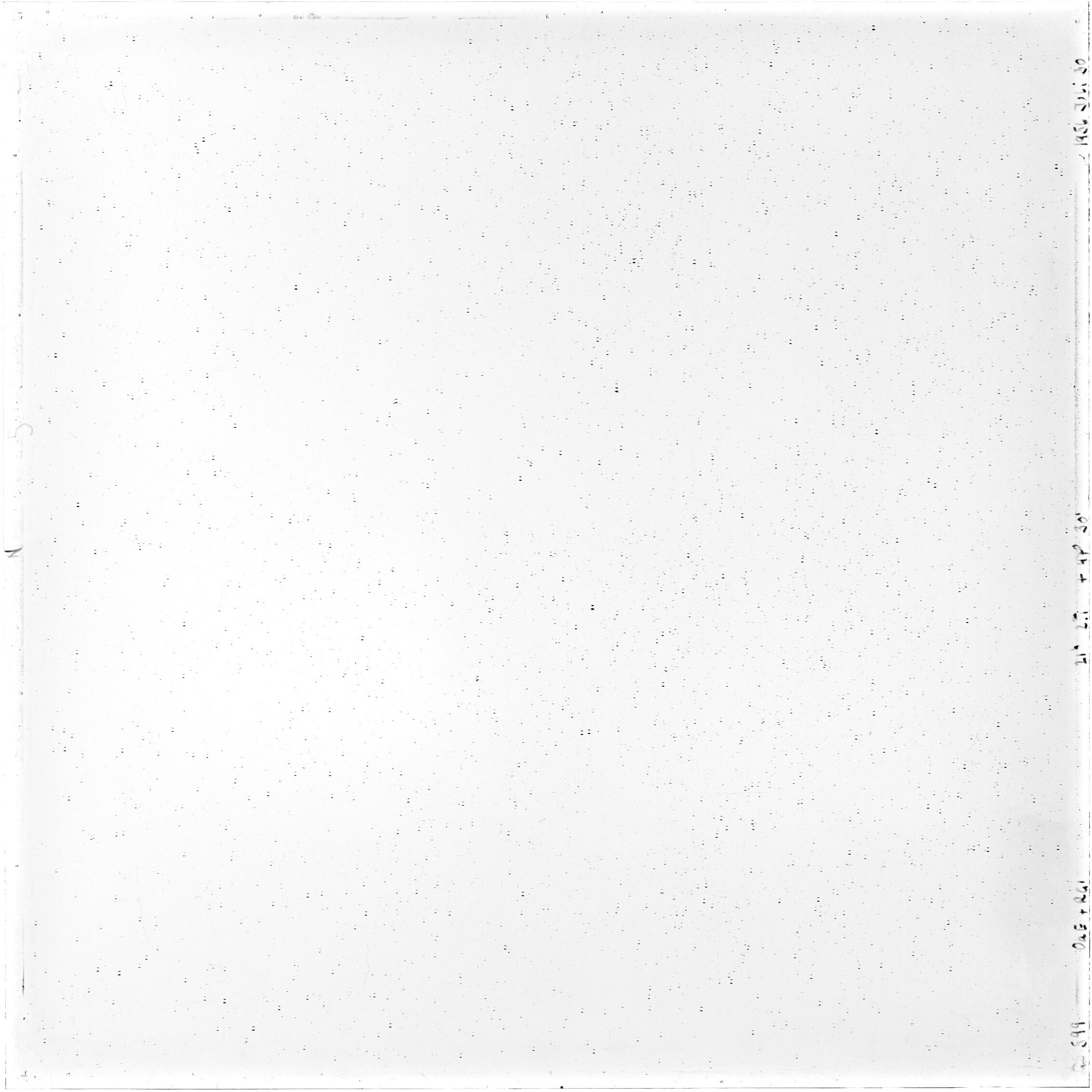Scan GS00599