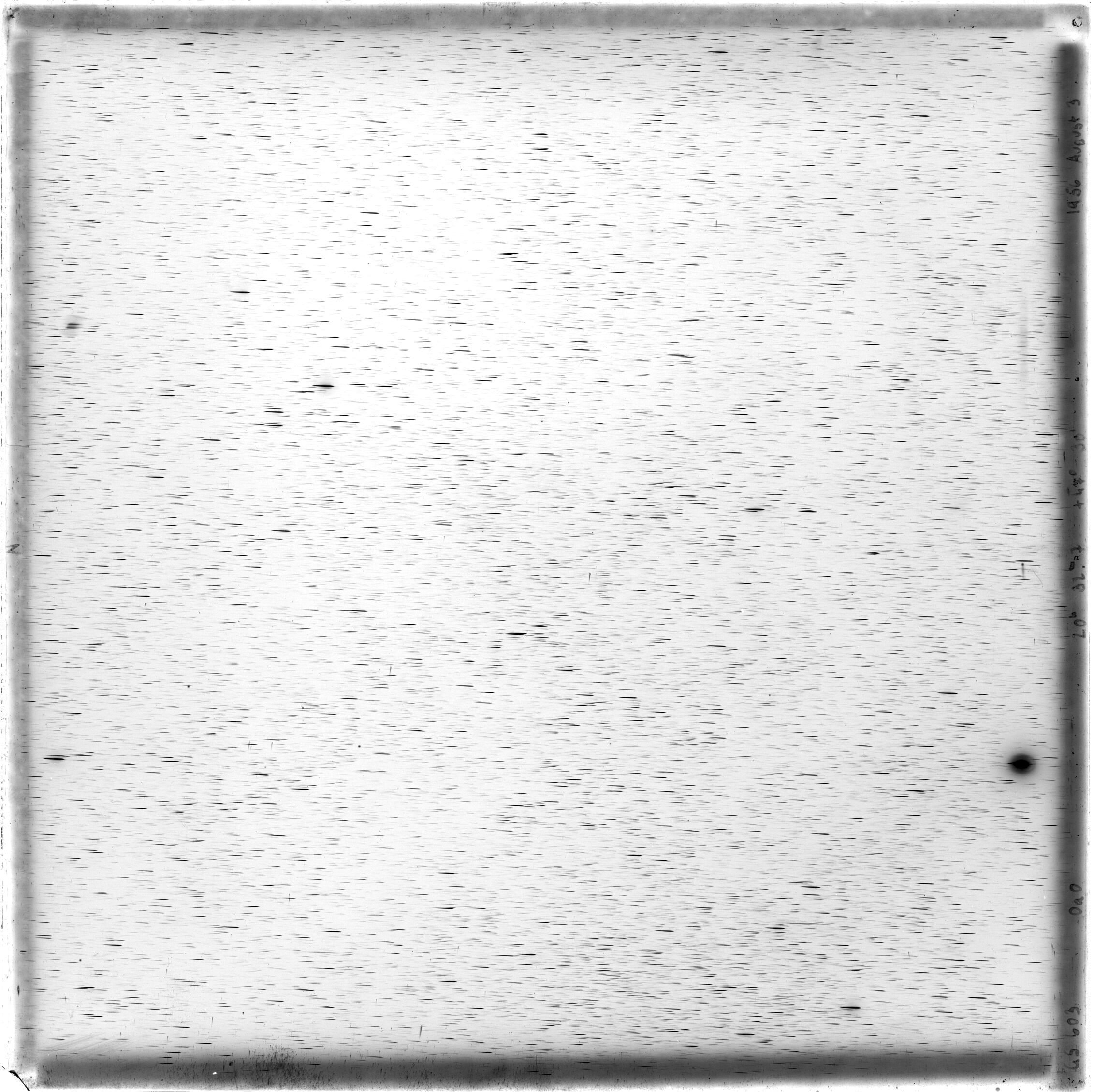 Scan GS00603
