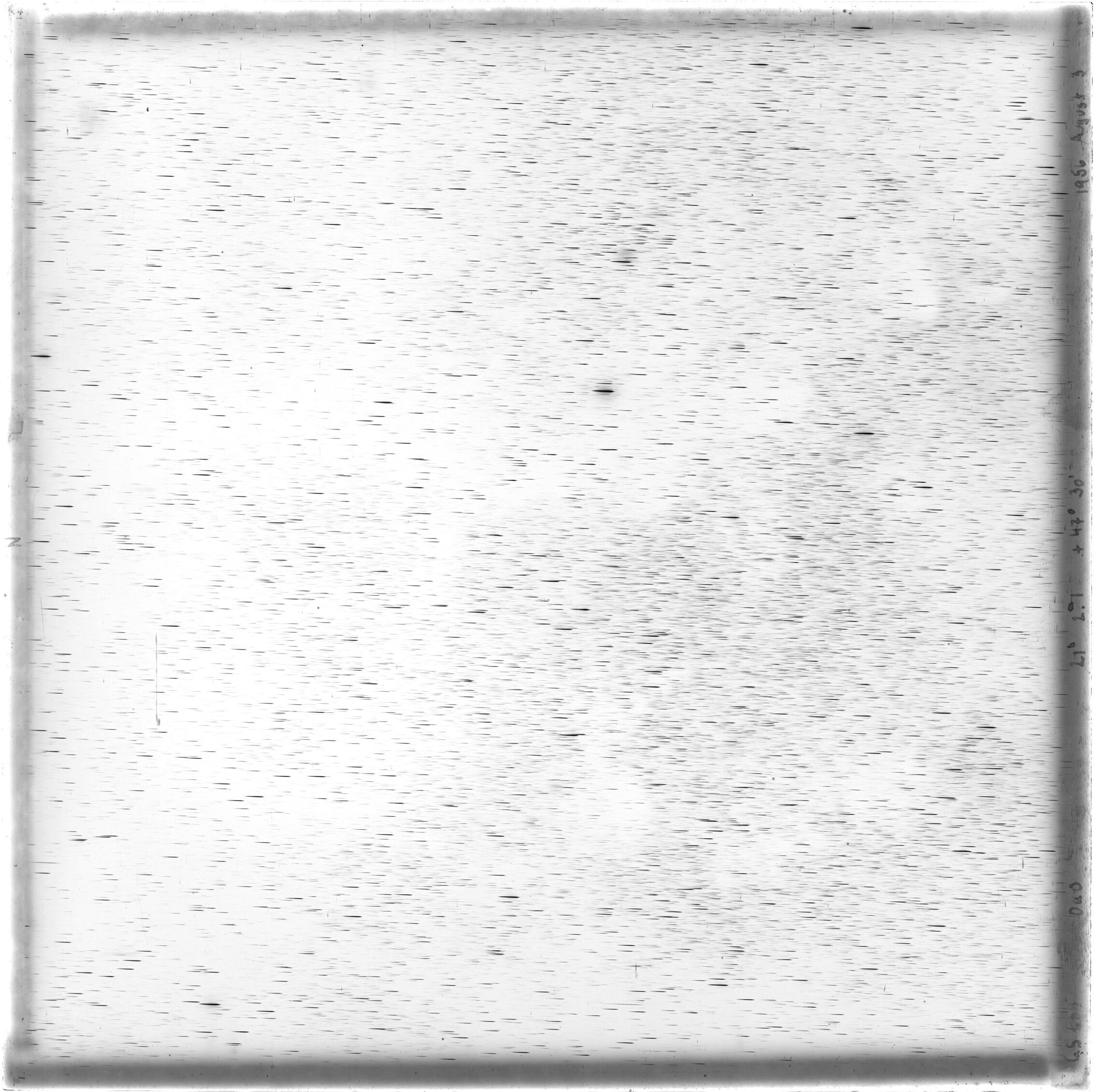 Scan GS00604