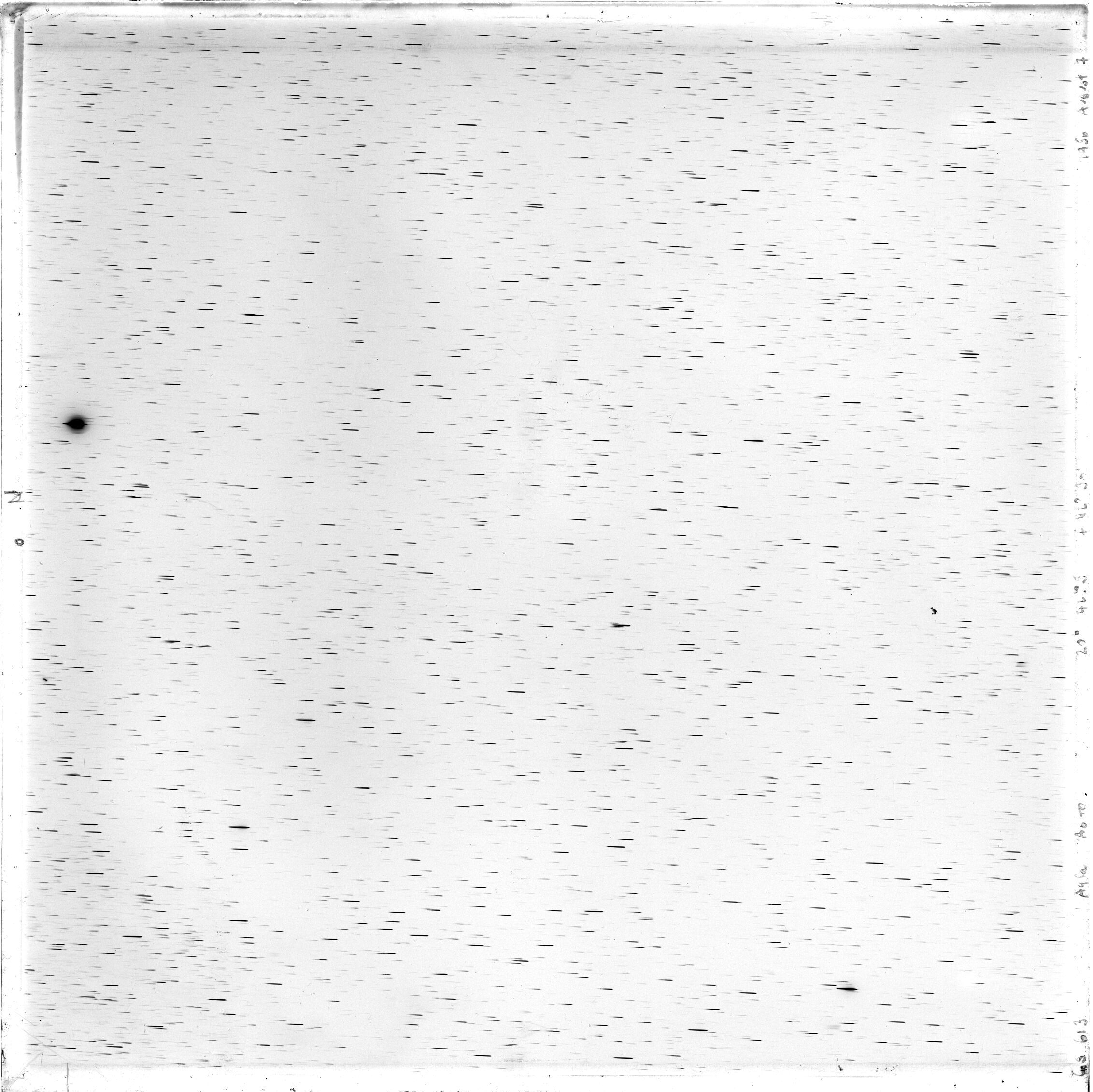 Scan GS00613