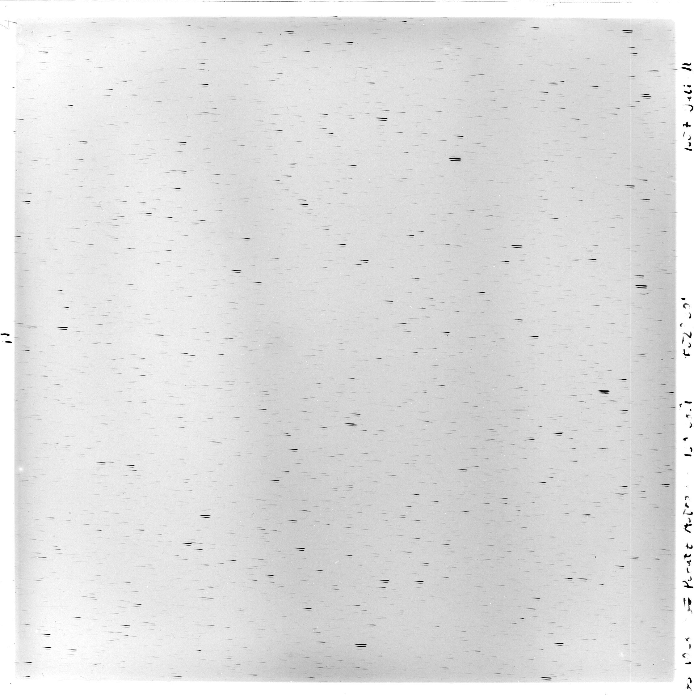 Scan GS01028