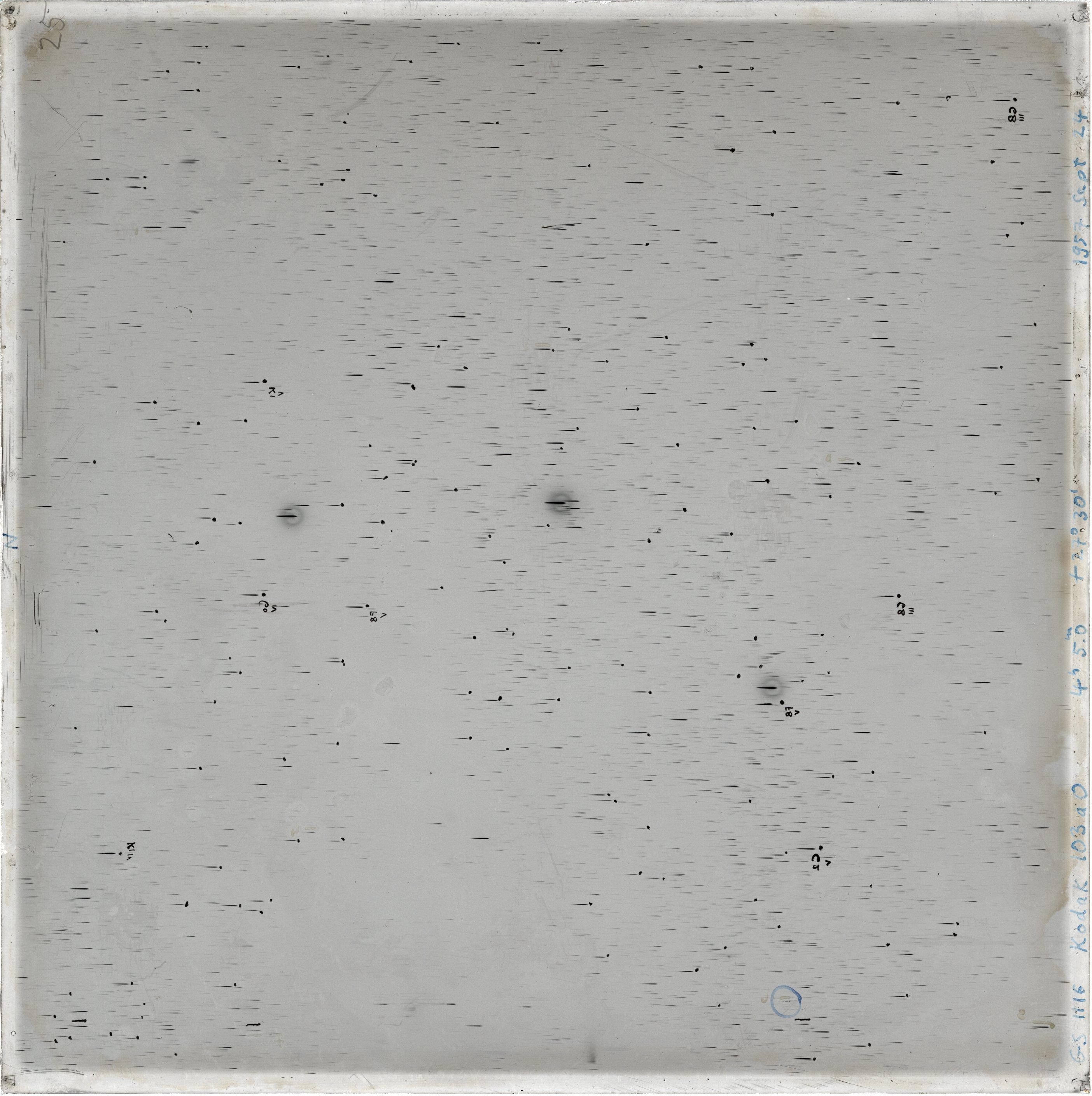 Scan GS01116