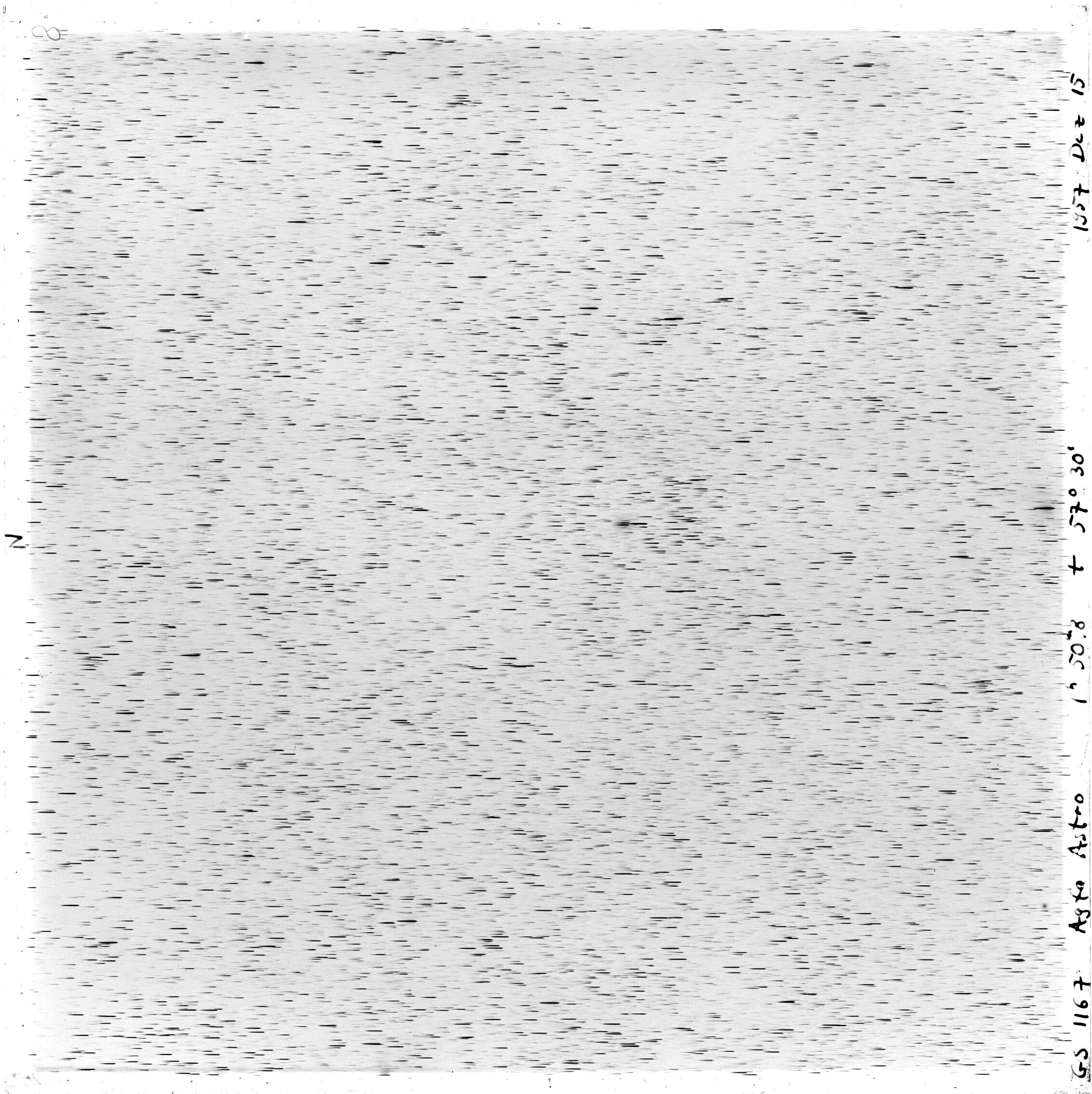 Scan GS01167