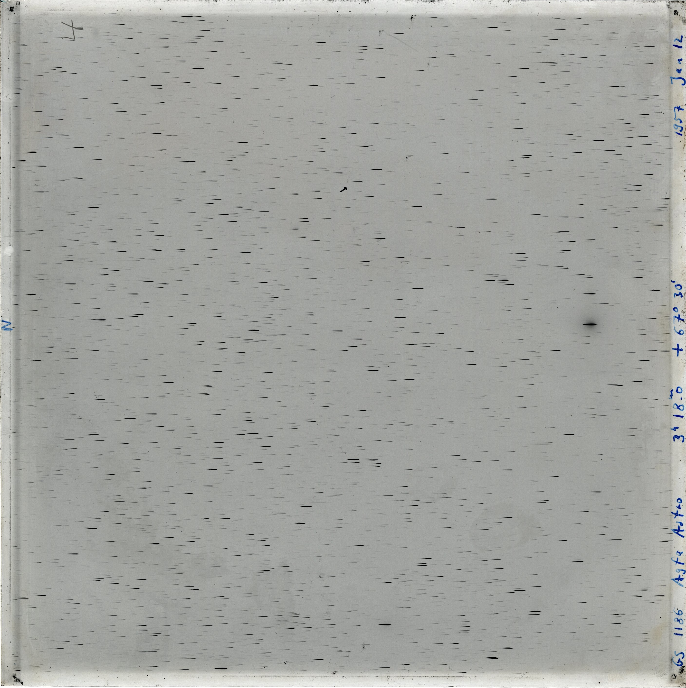 Scan GS01186