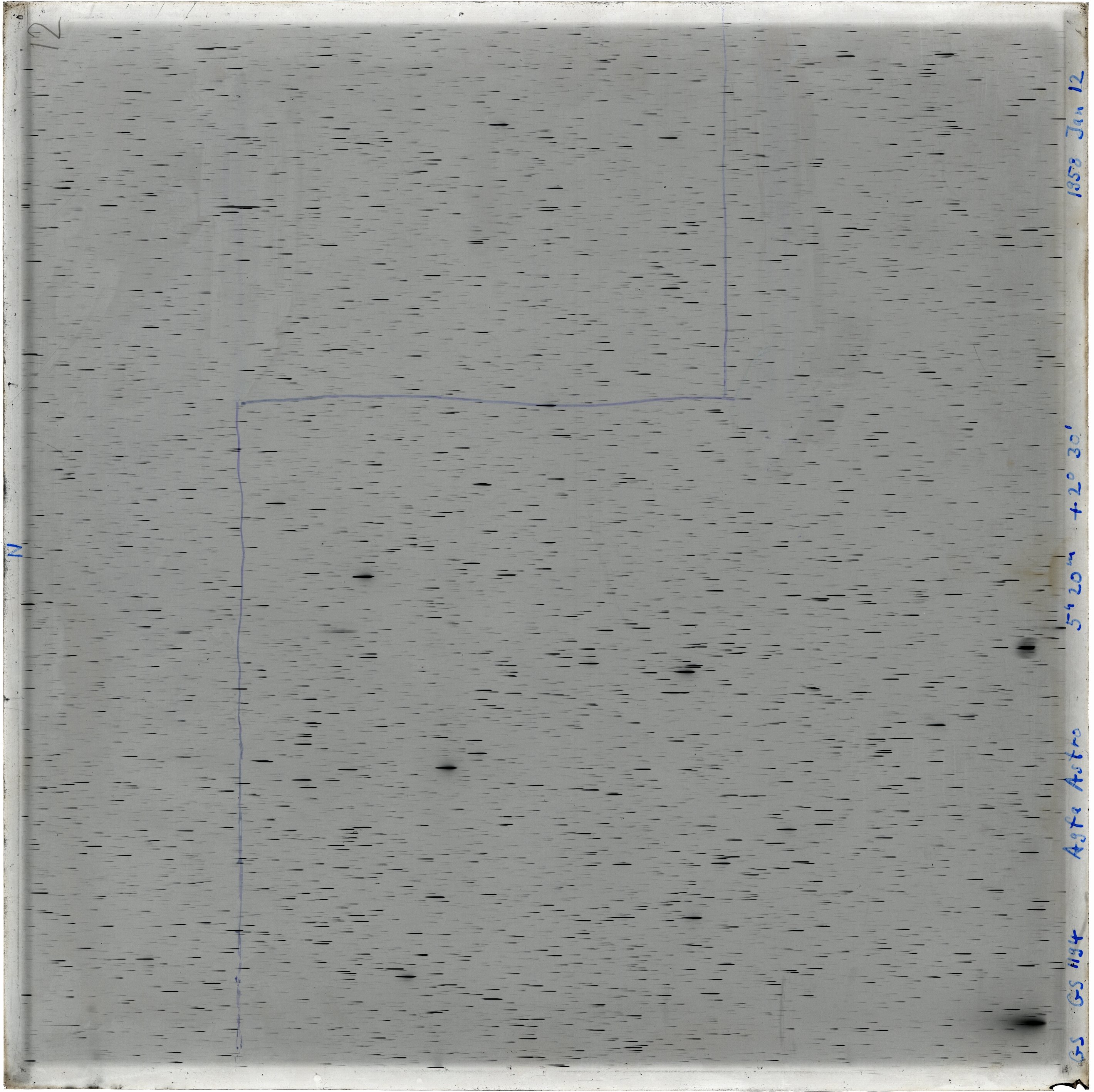 Scan GS01194