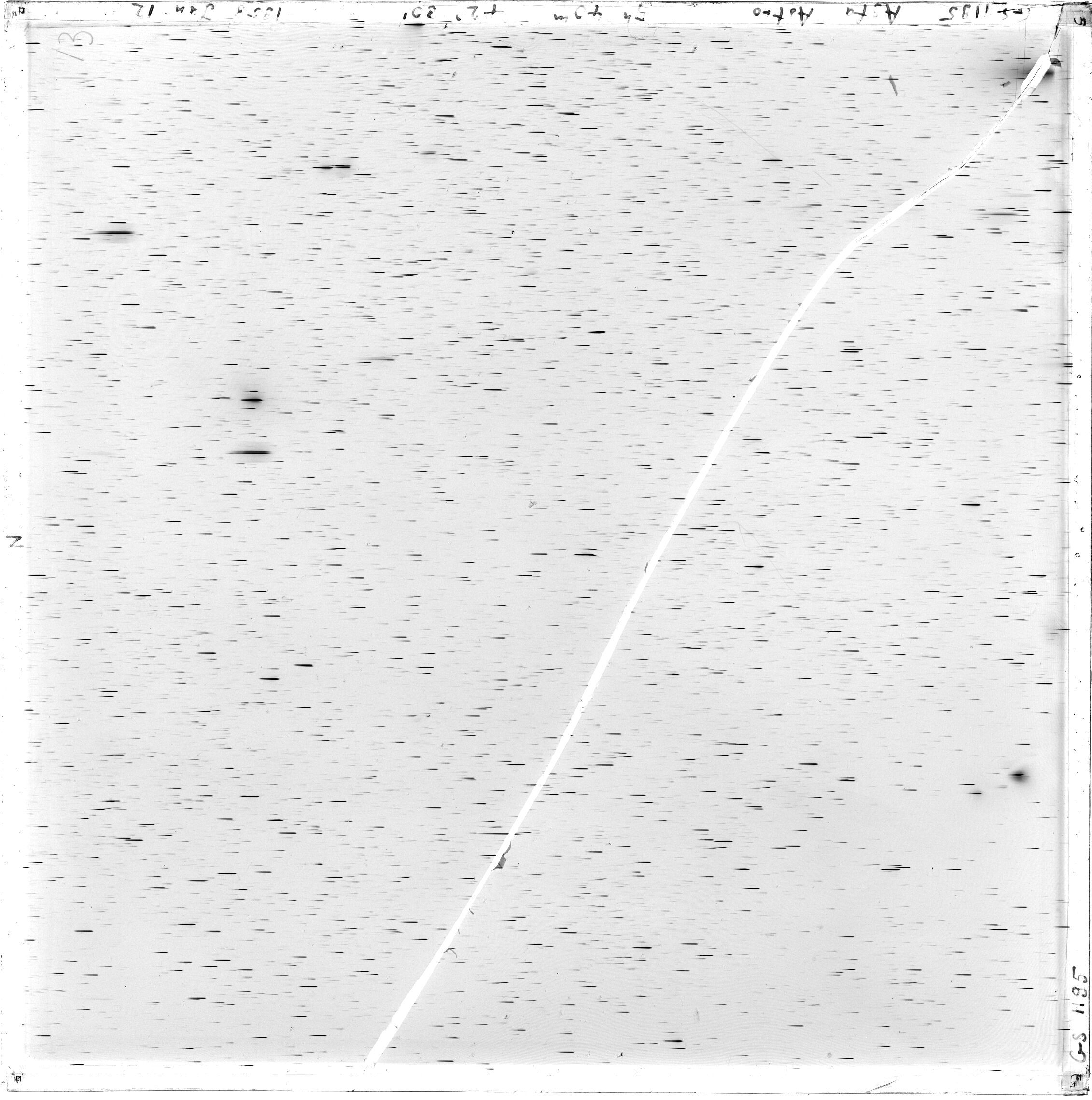 Scan GS01195