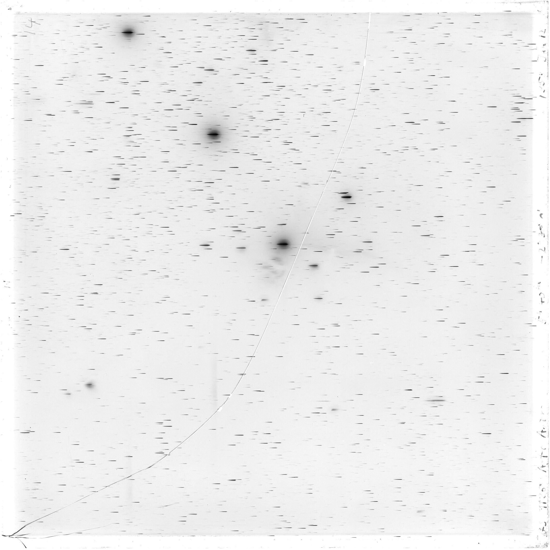 Scan GS01196