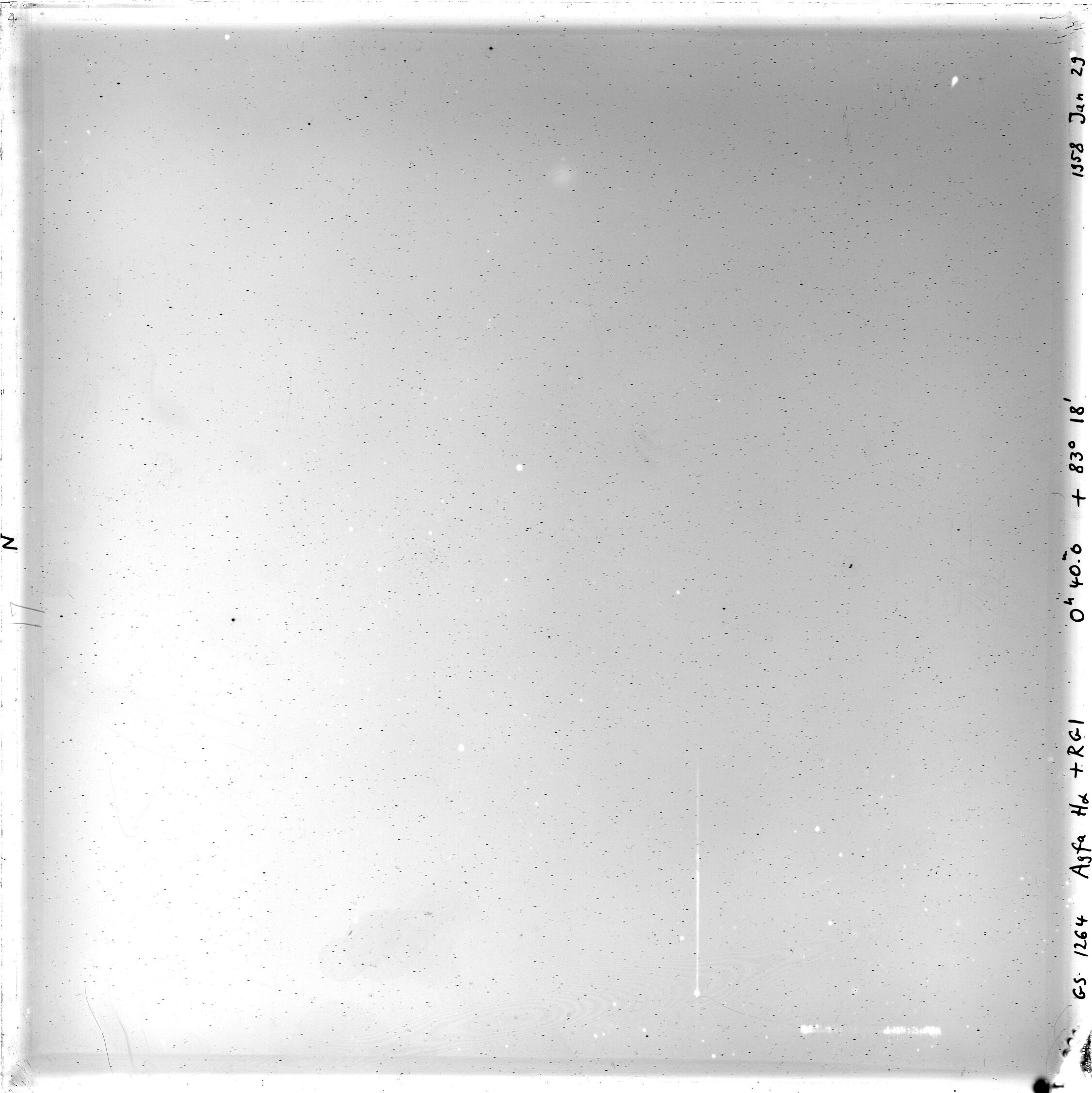 Scan GS01264