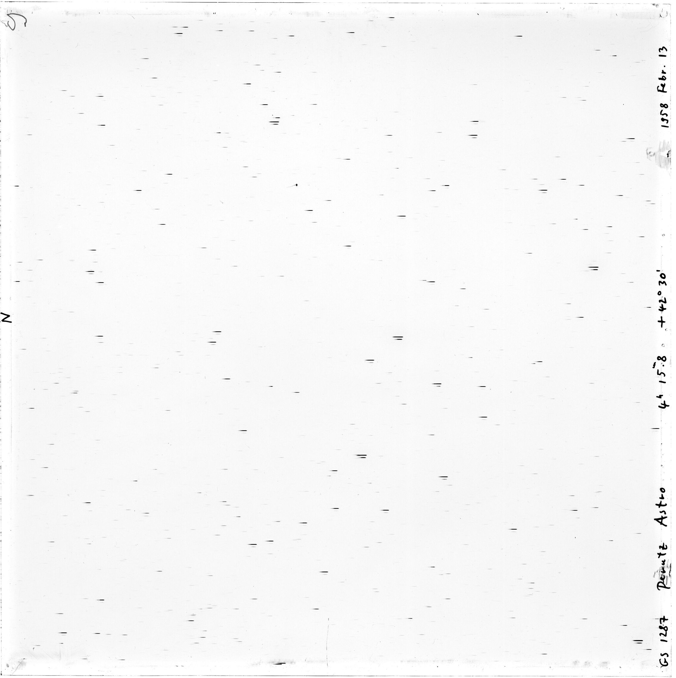 Scan GS01287