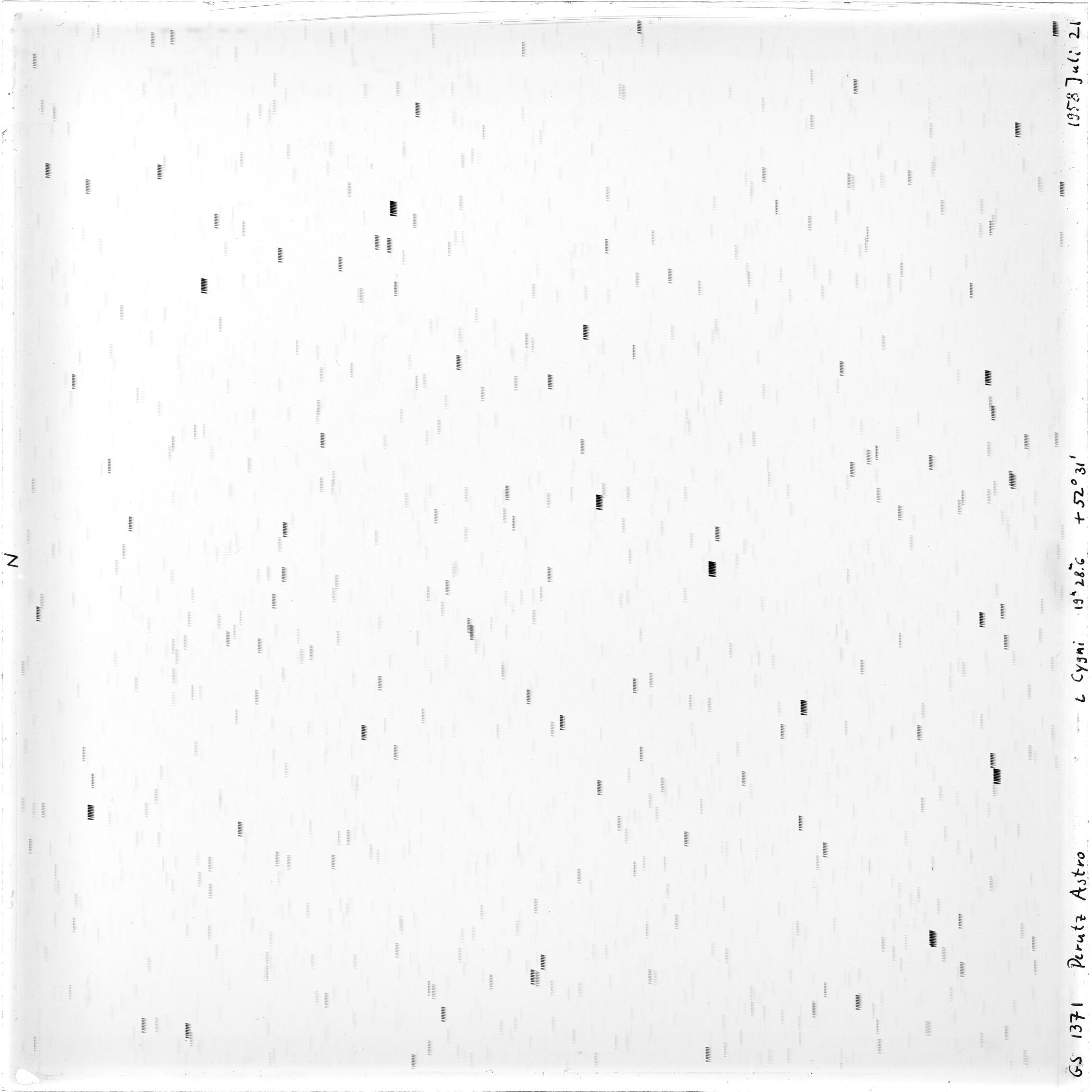 Scan GS01371