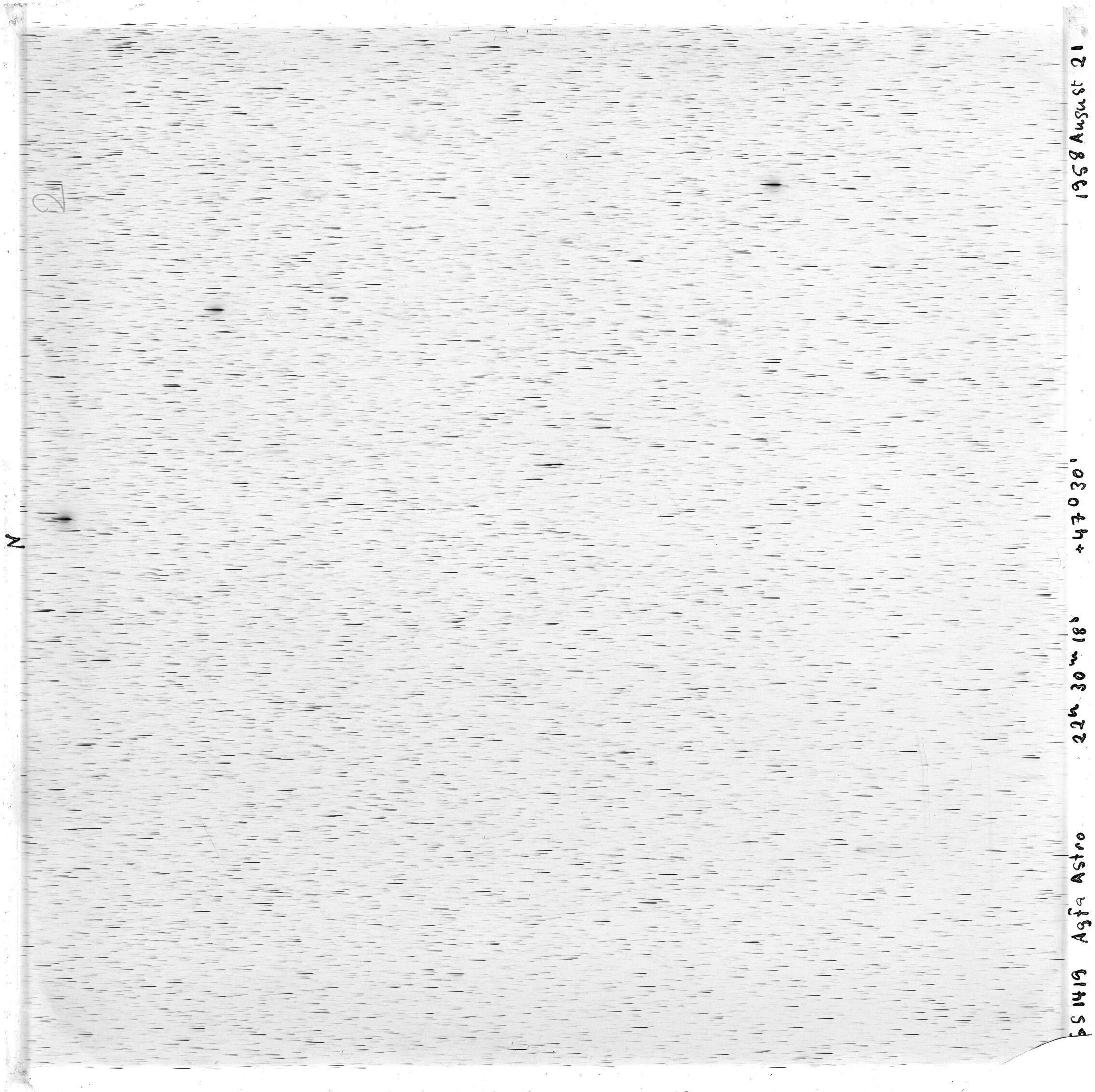 Scan GS01419
