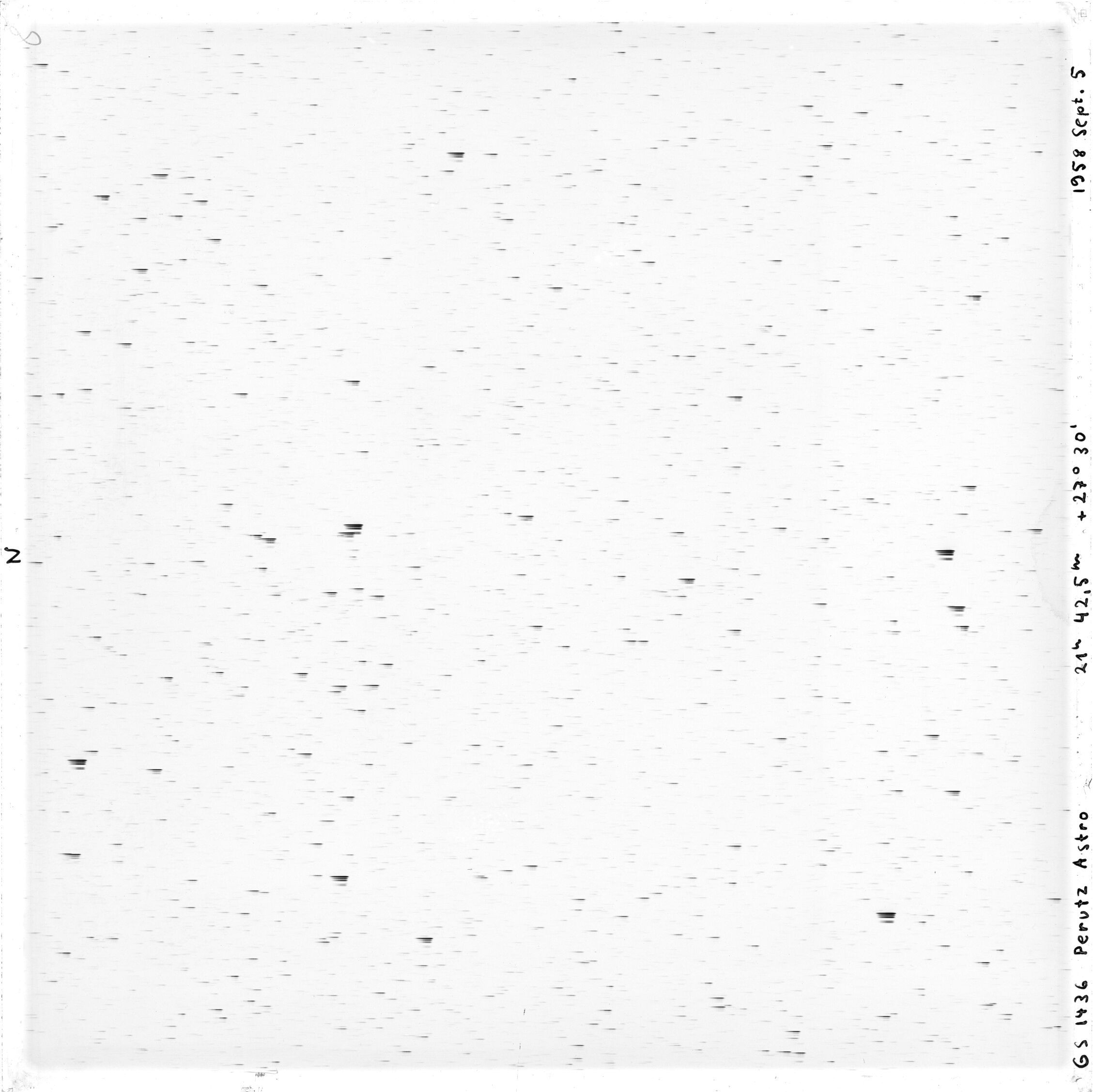 Scan GS01436