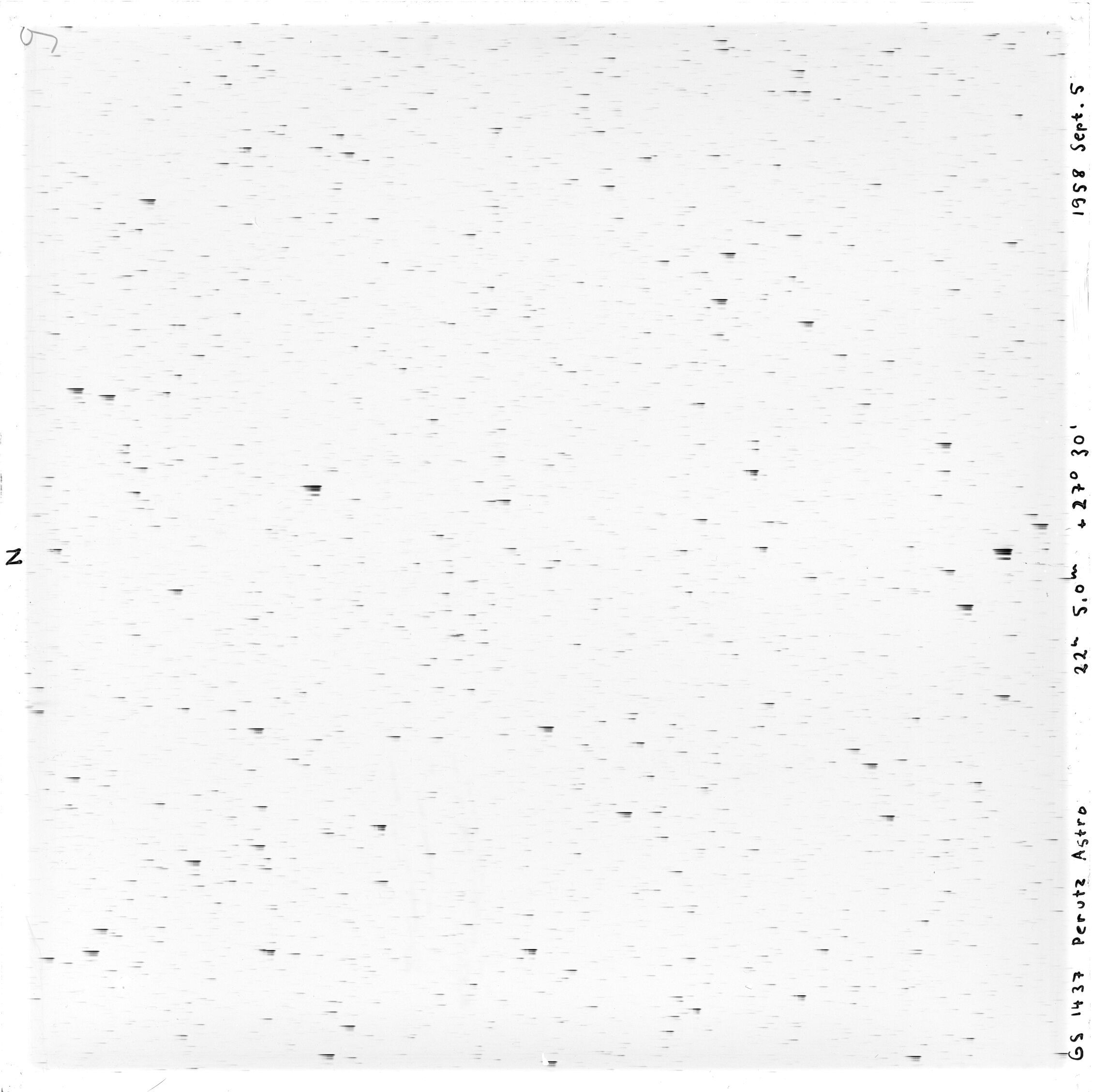 Scan GS01437