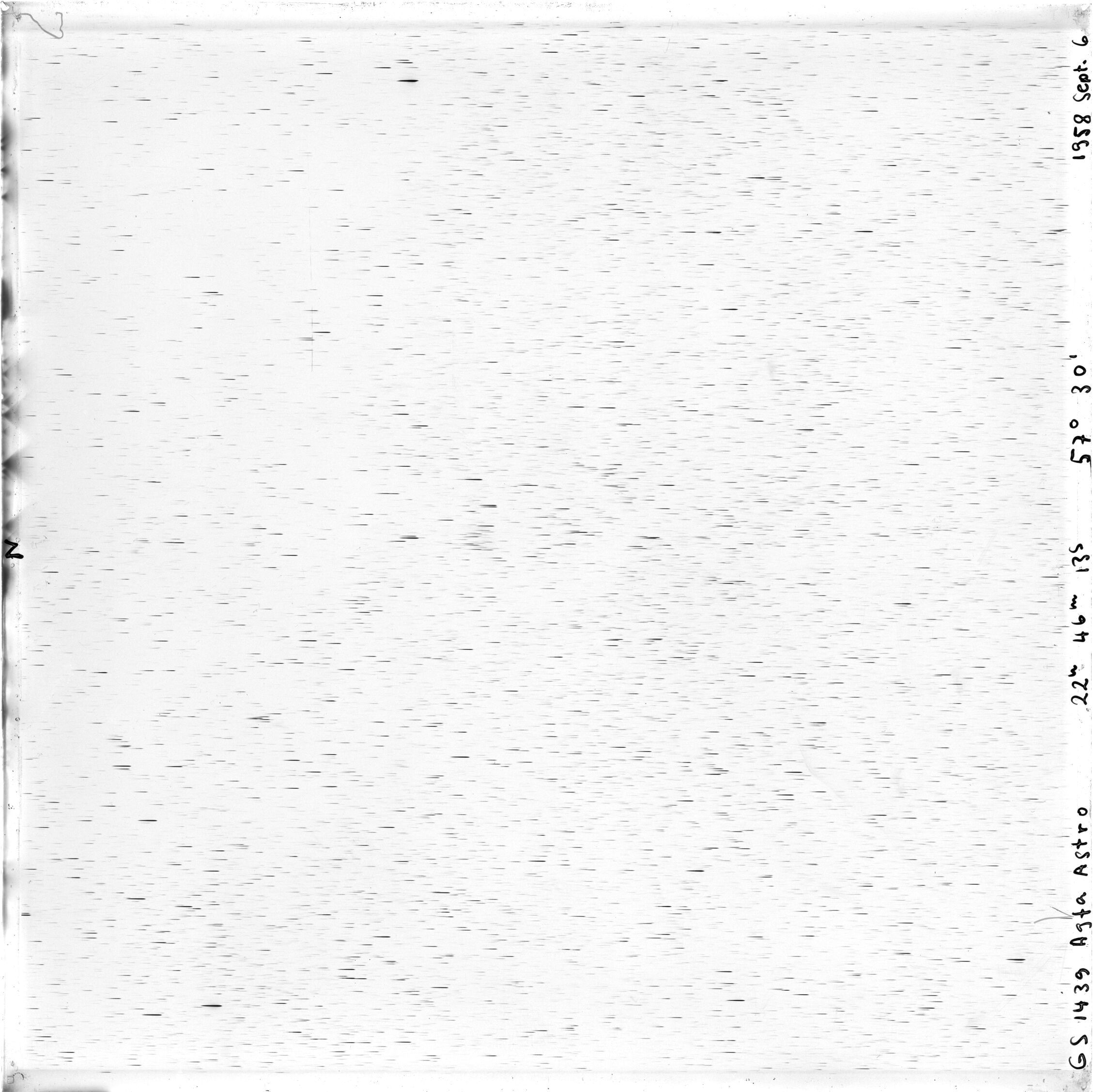 Scan GS01439