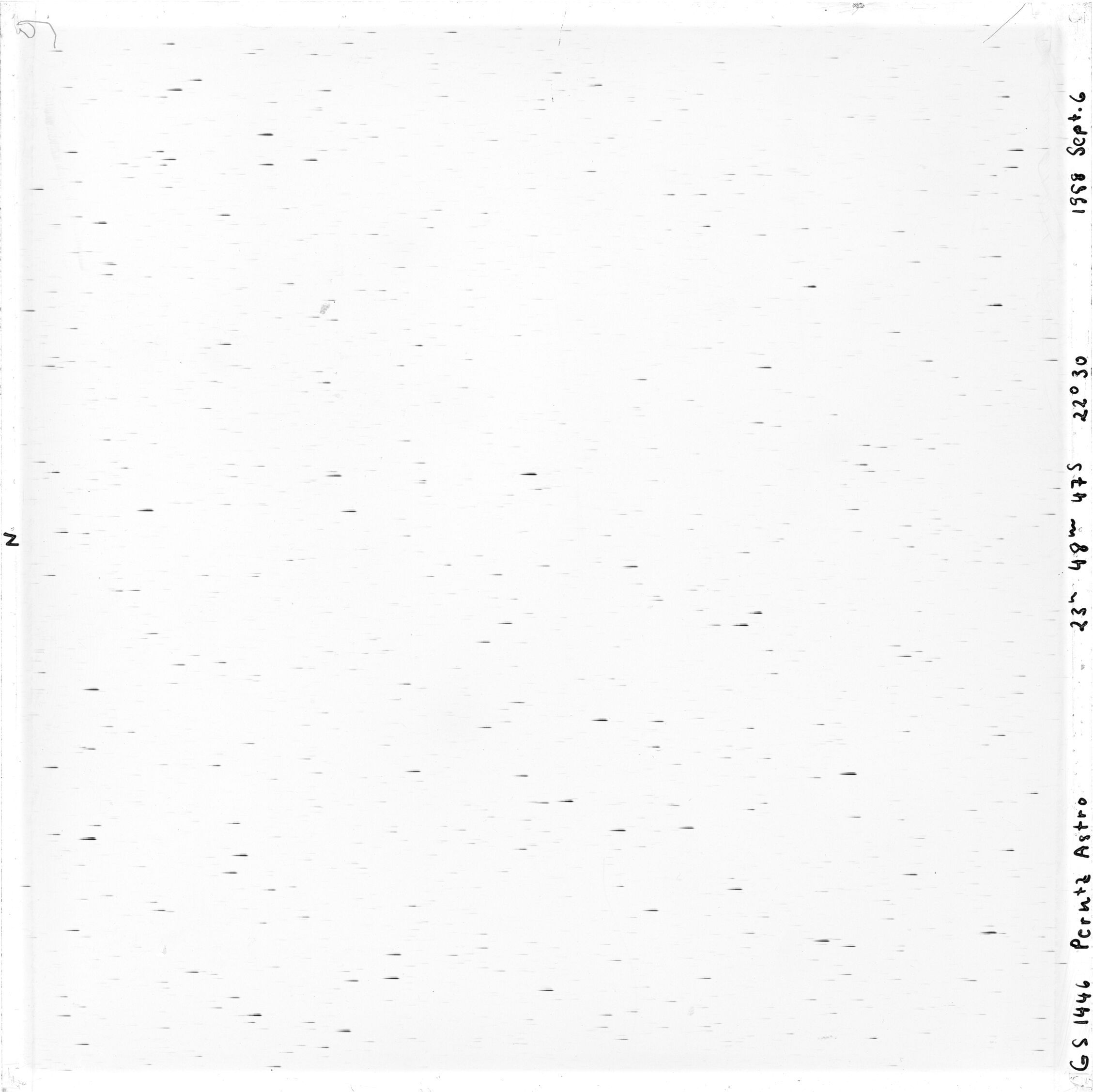 Scan GS01446