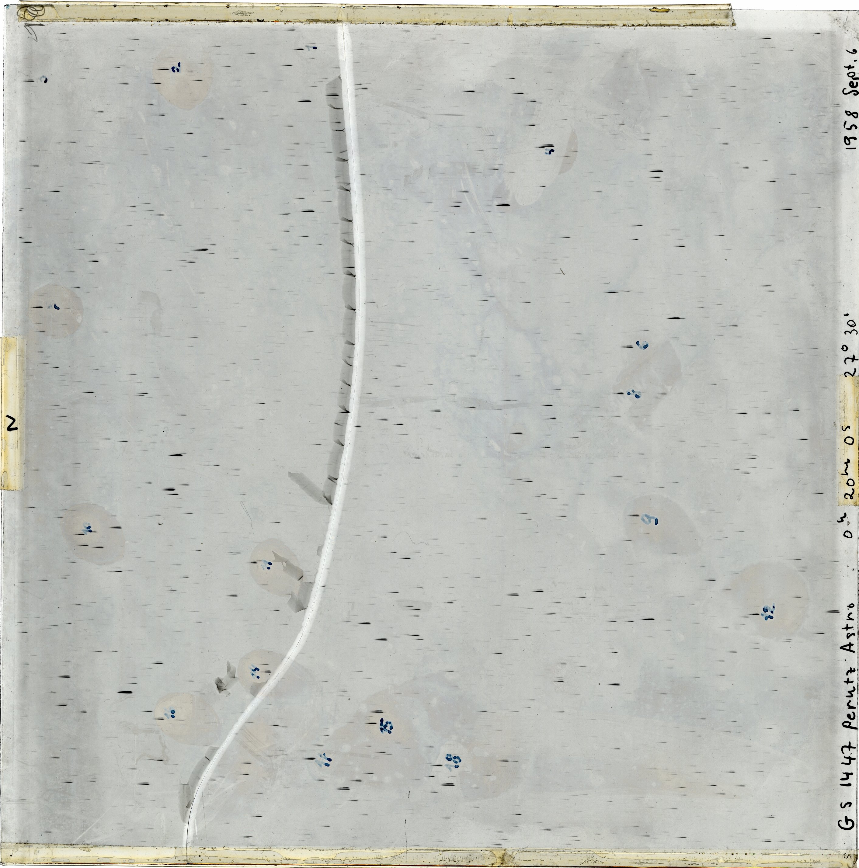 Scan GS01447