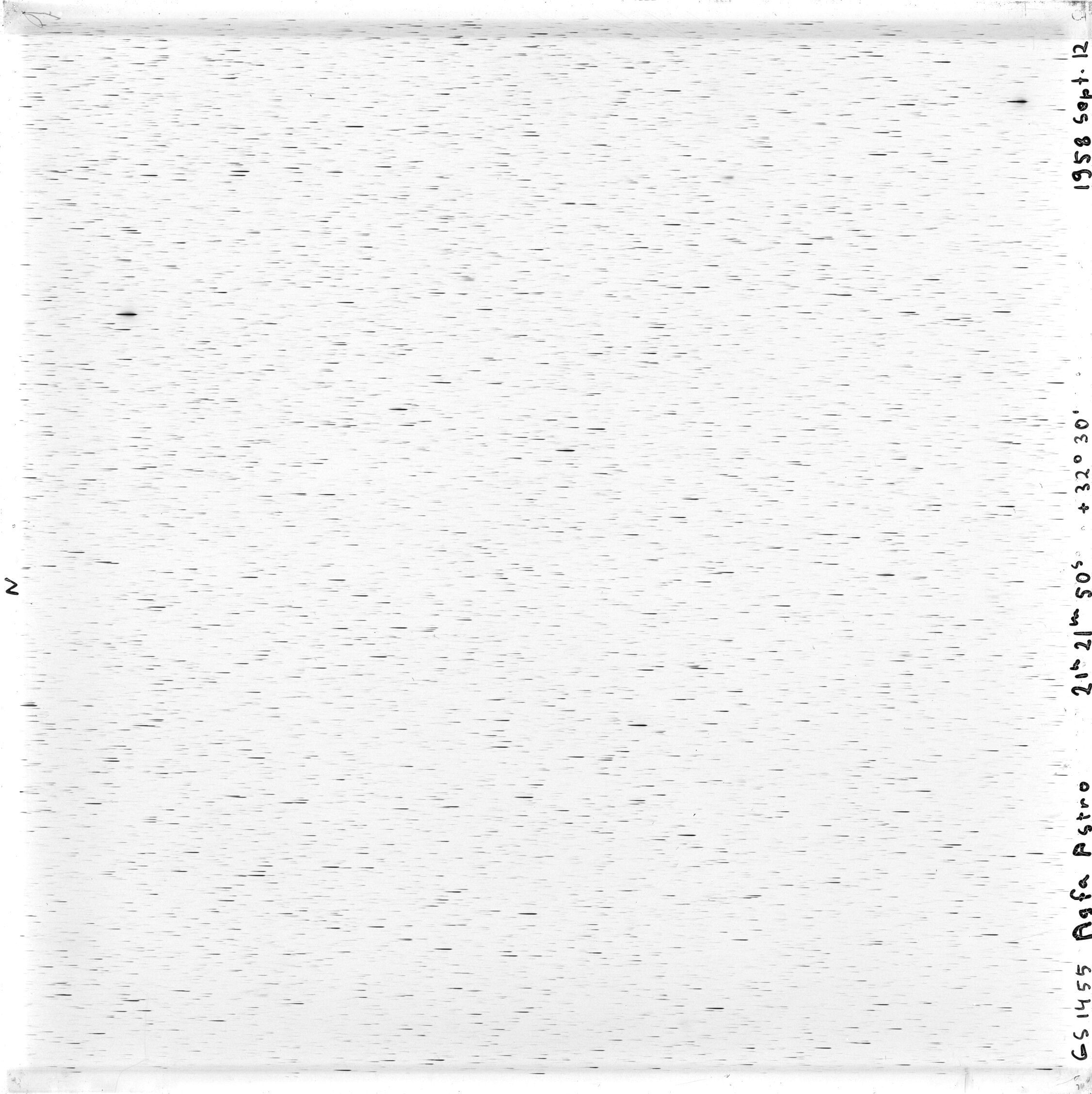 Scan GS01455