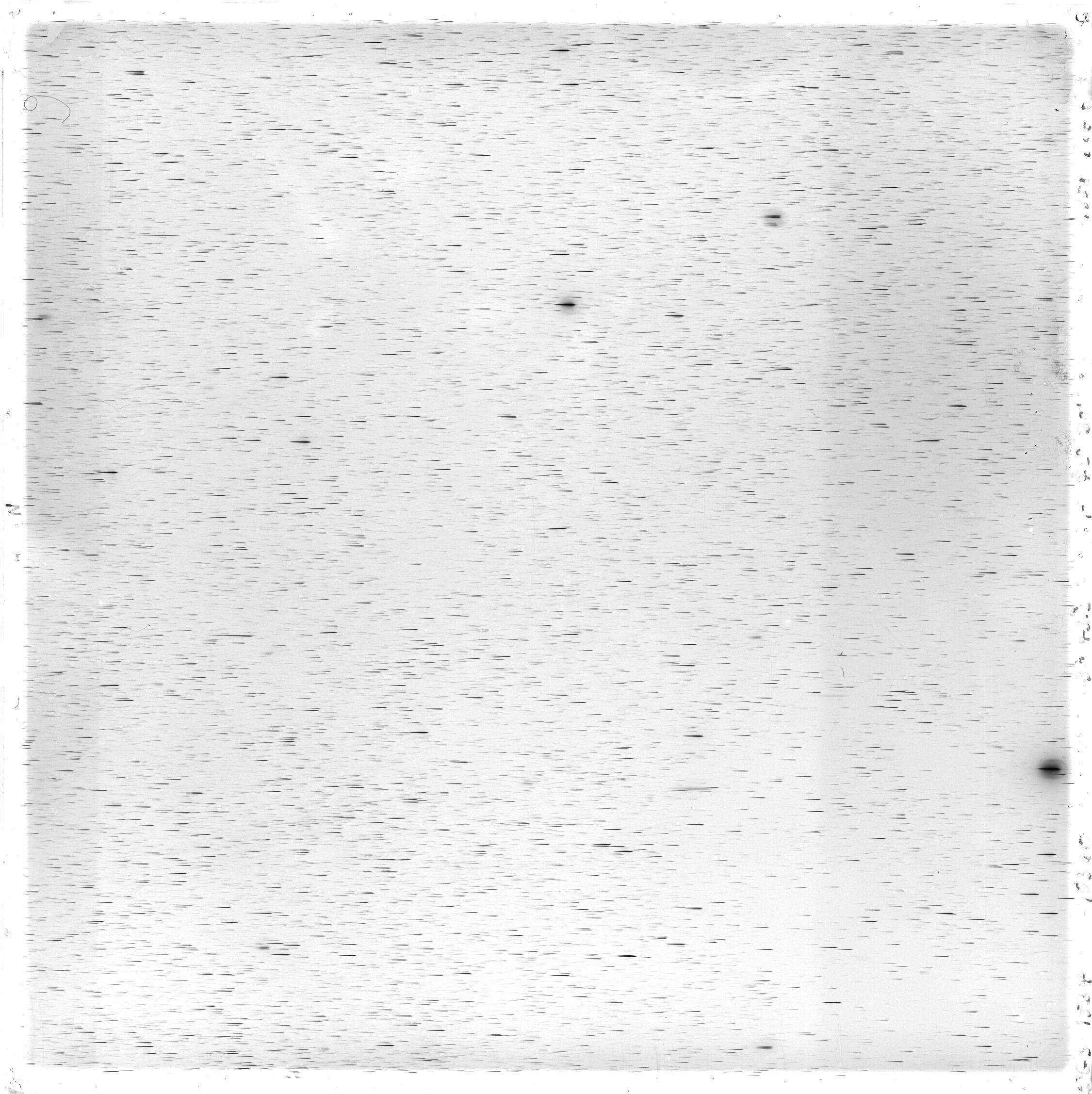 Scan GS01534