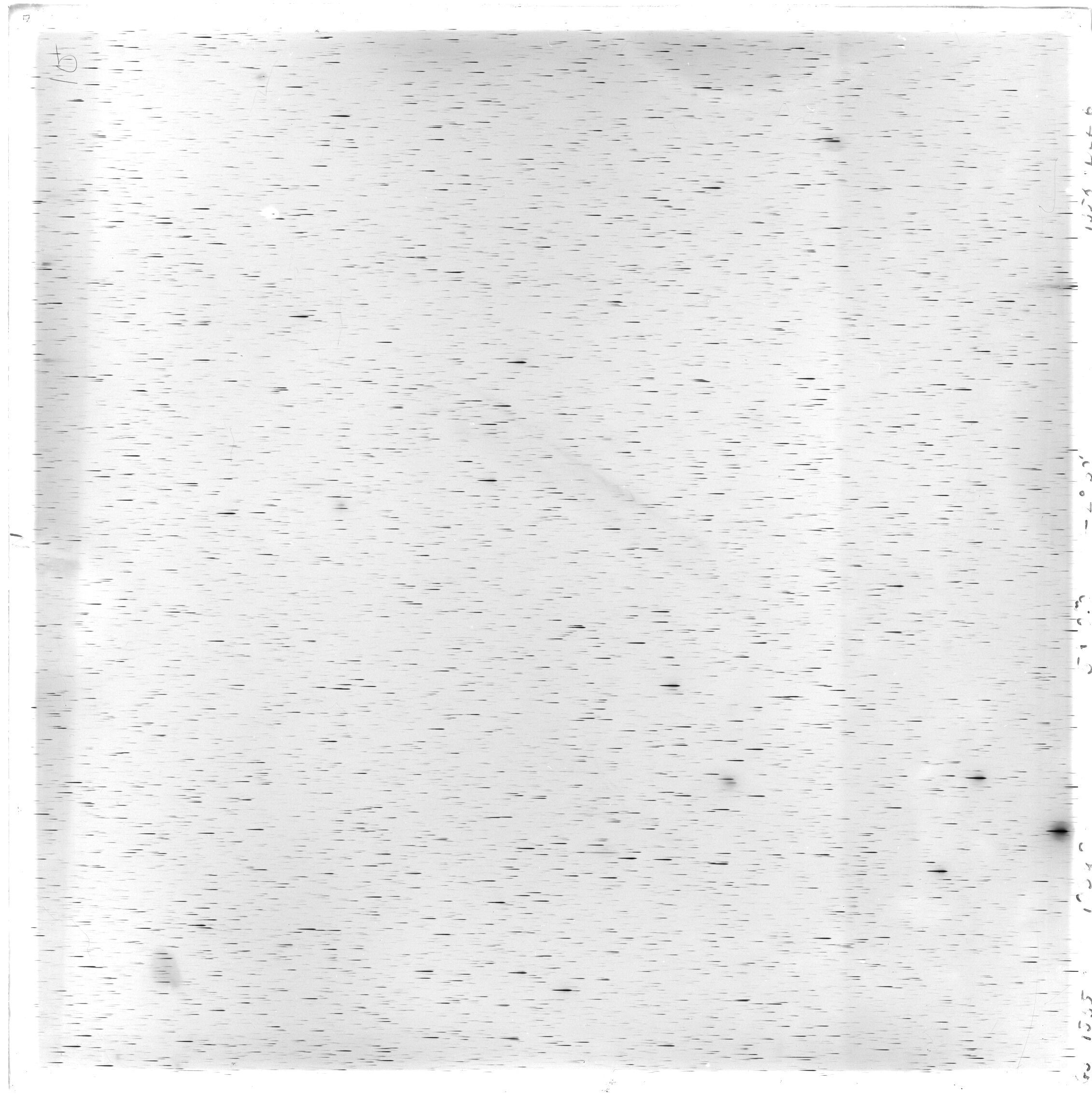 Scan GS01535