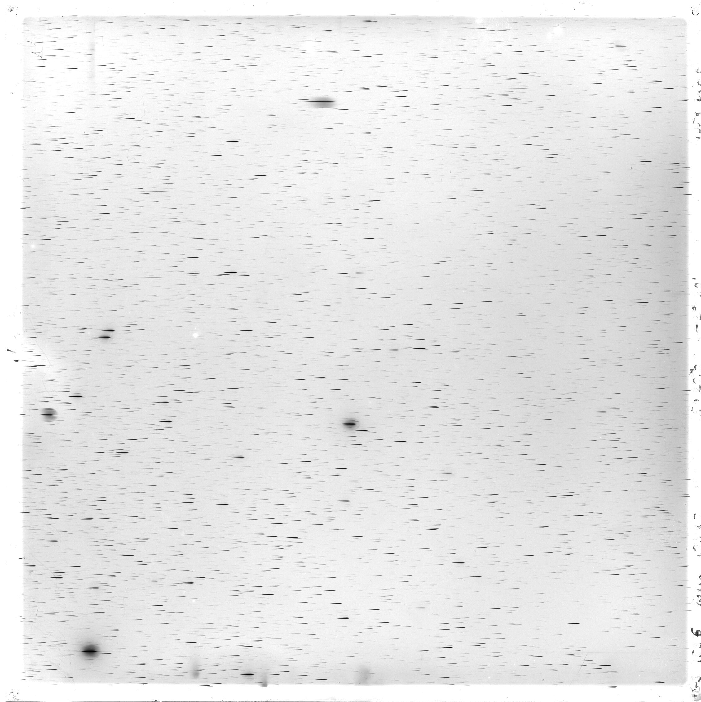 Scan GS01536