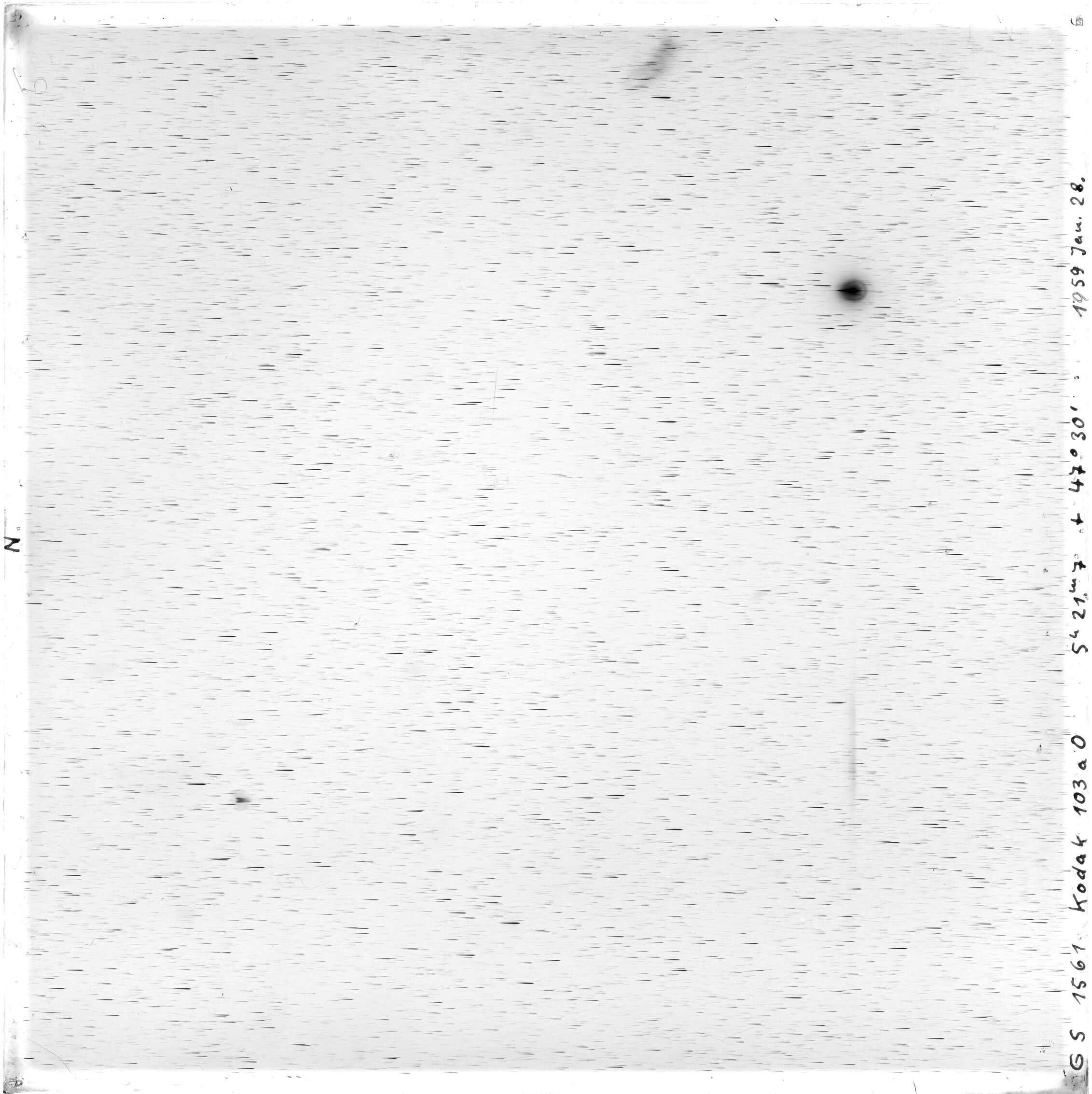 Scan GS01561