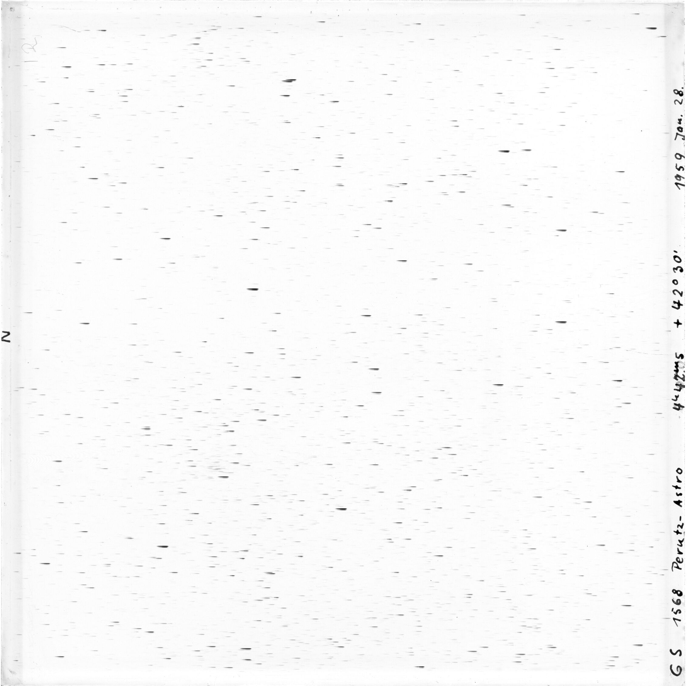Scan GS01568