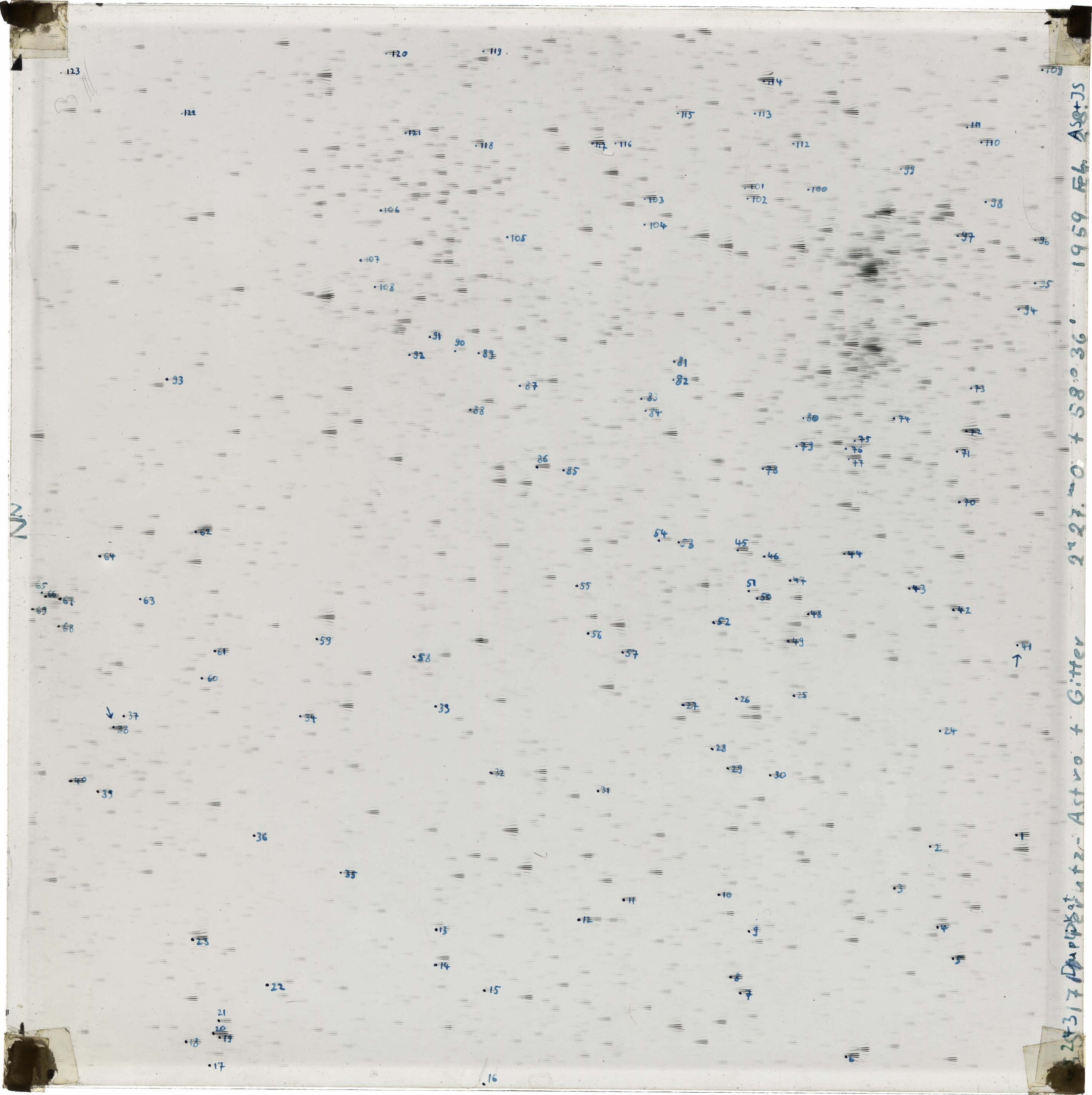 Scan GS01711
