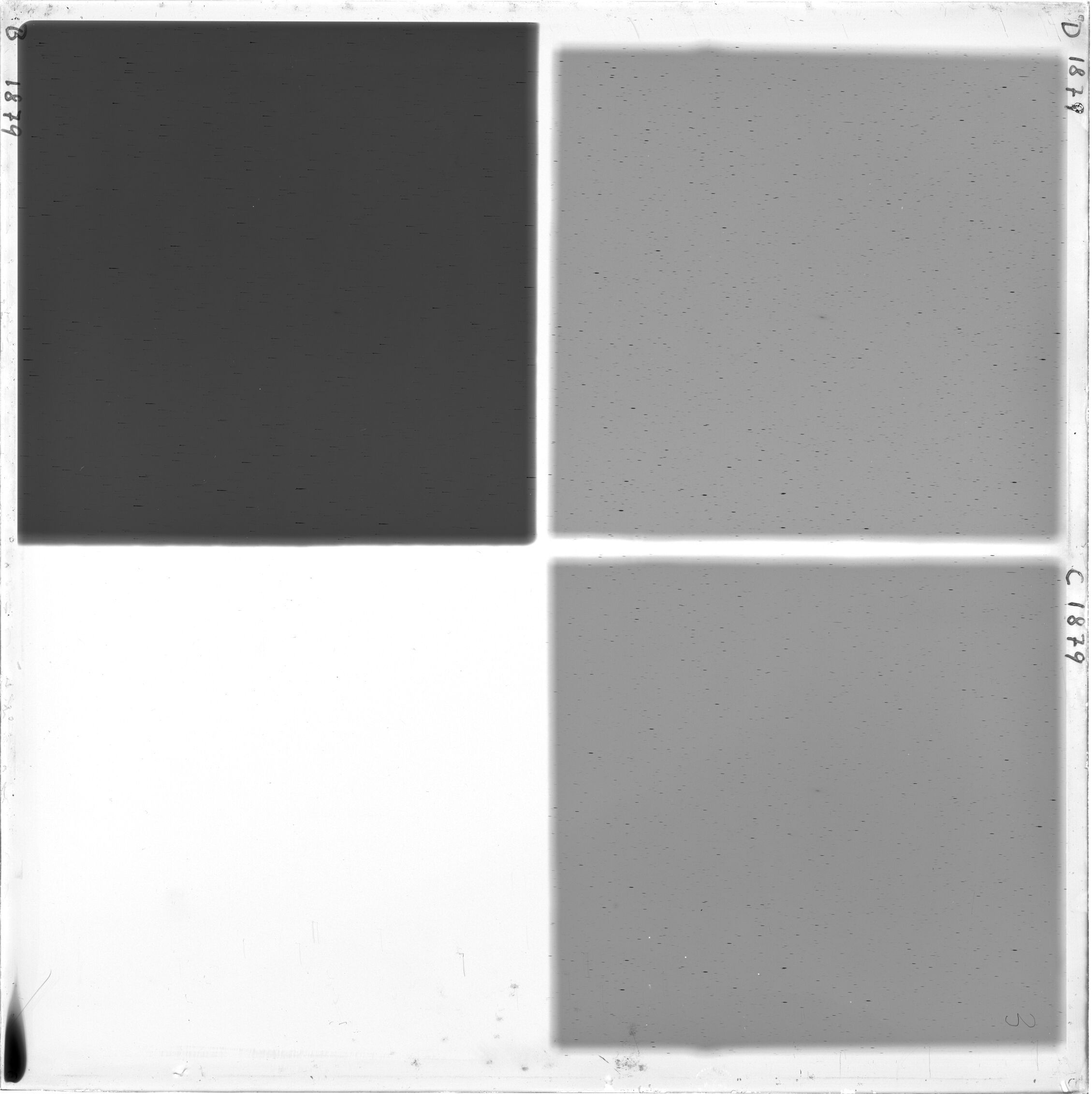 Scan GS01879