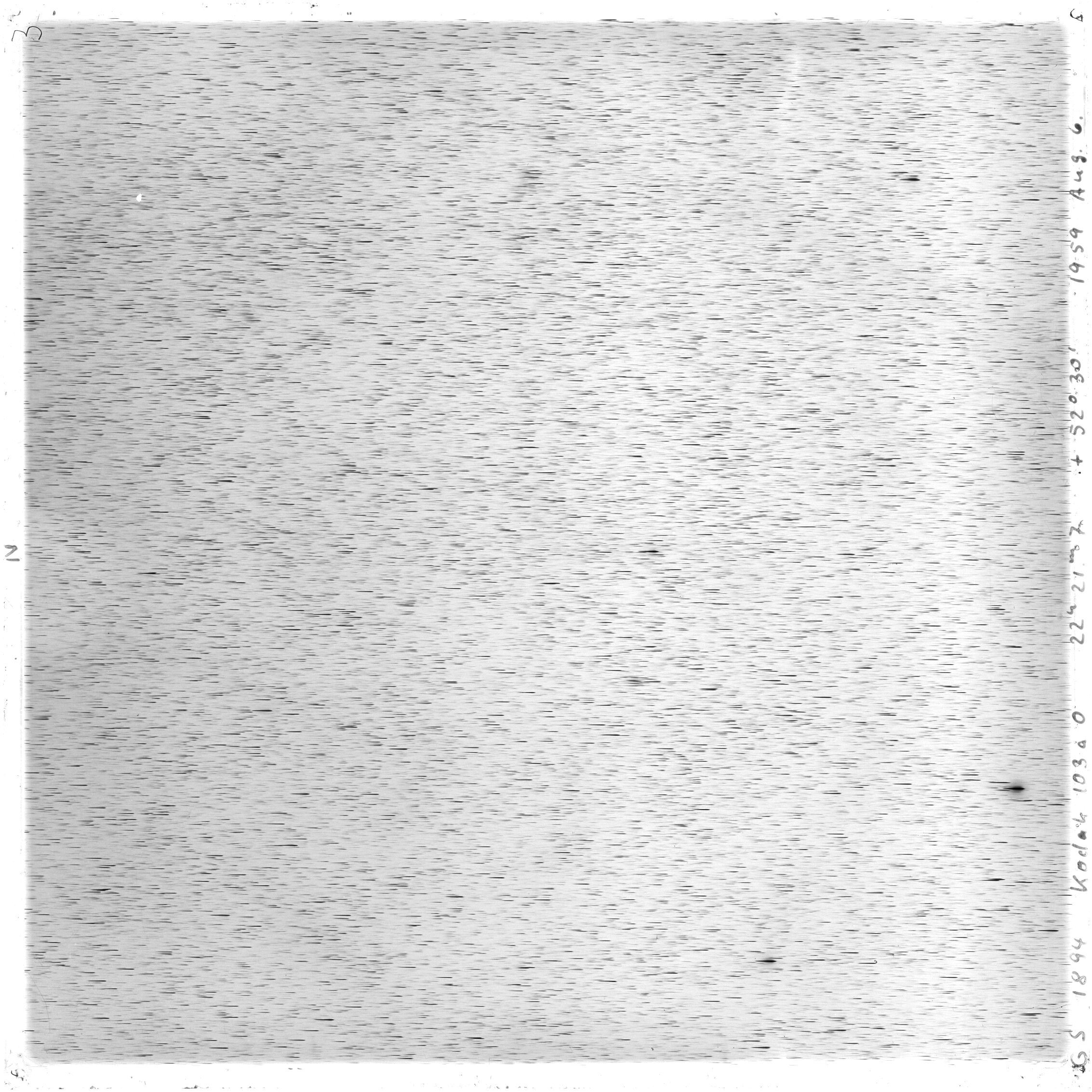 Scan GS01894