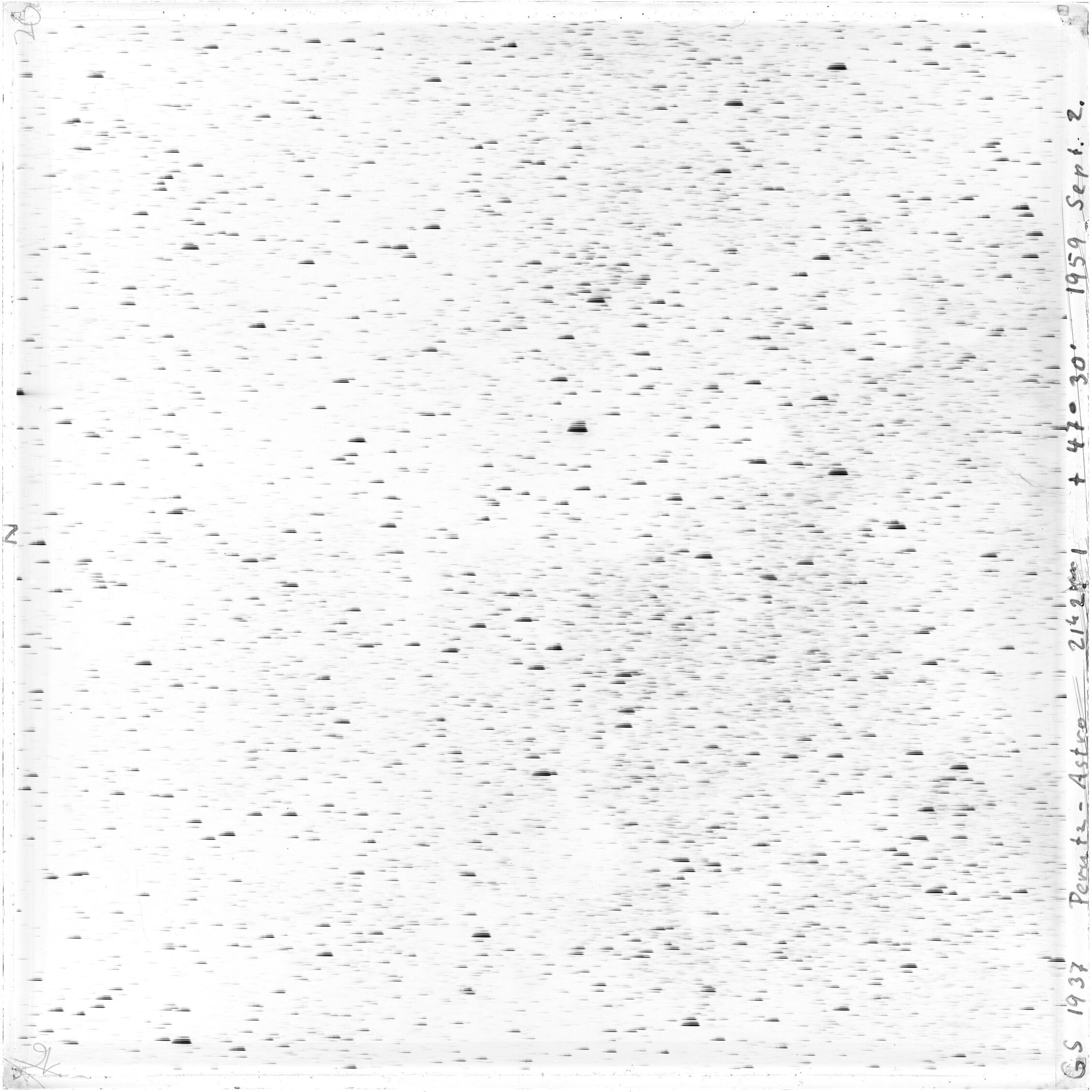 Scan GS01937