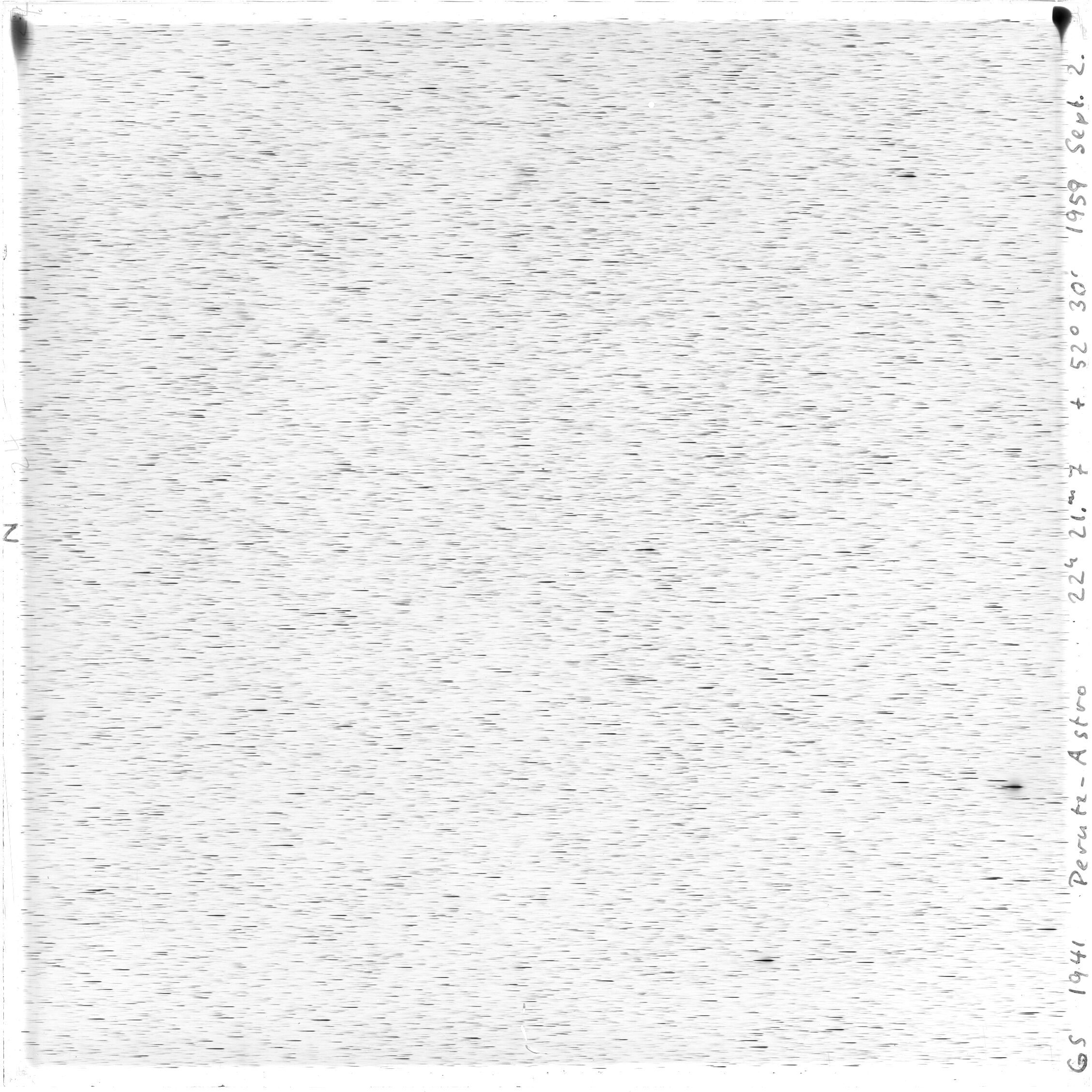 Scan GS01941