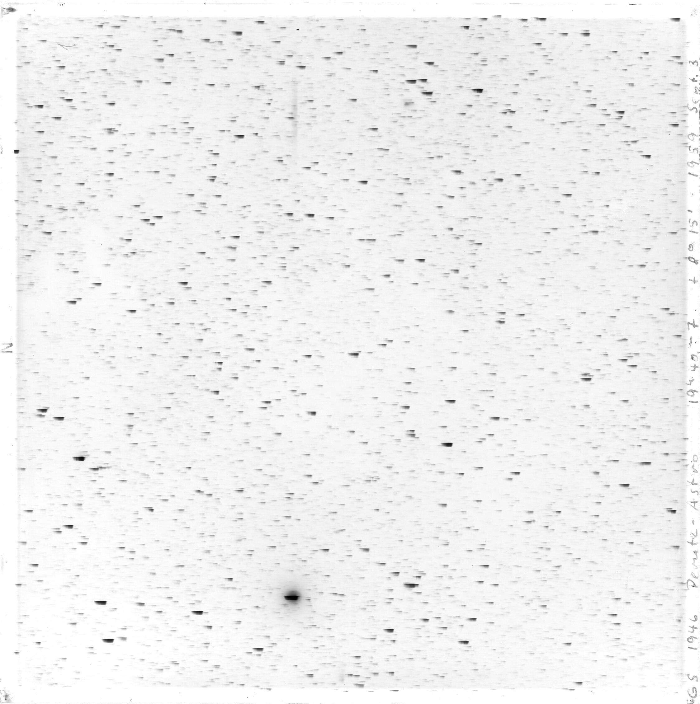 Scan GS01946