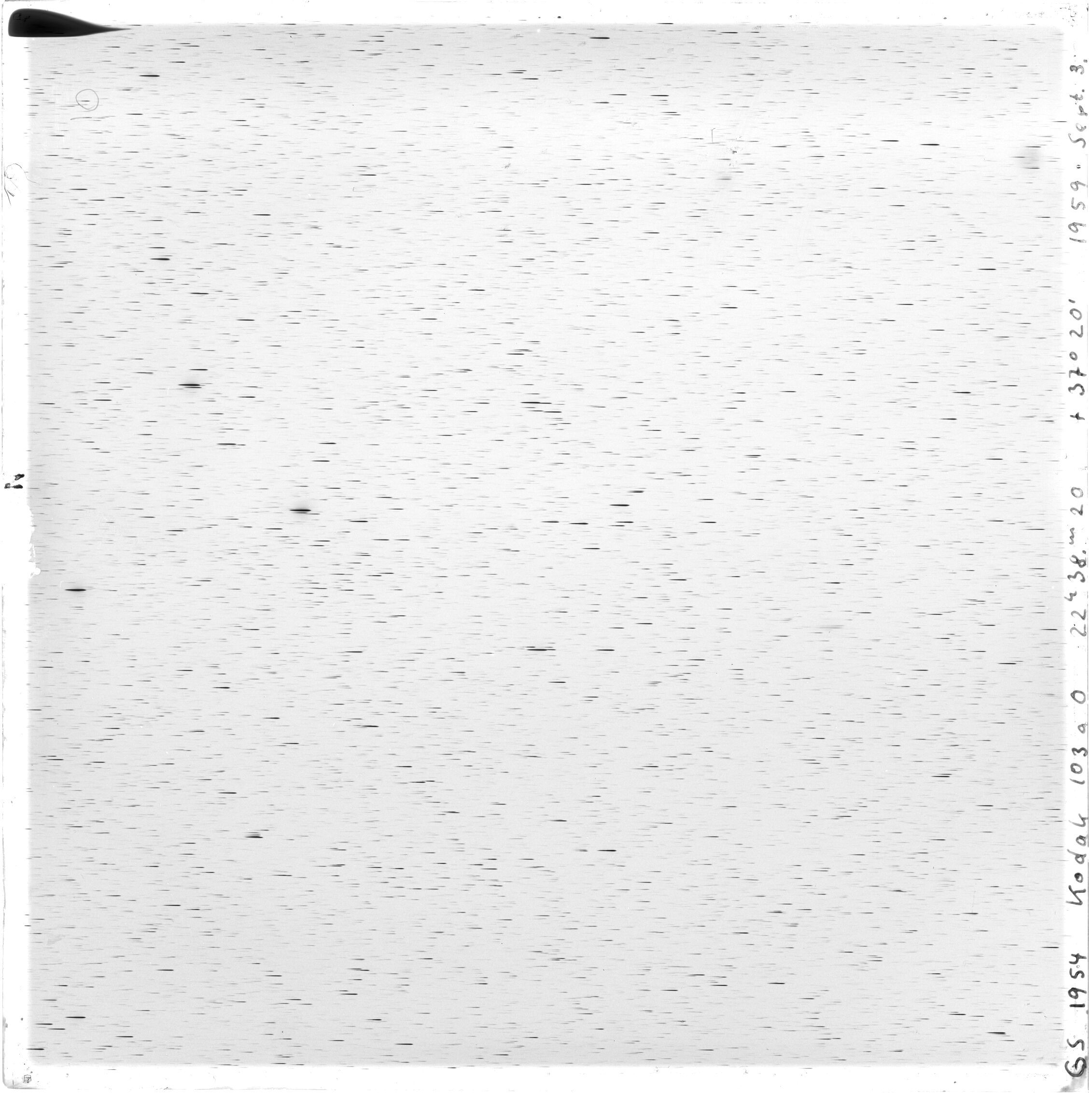Scan GS01954