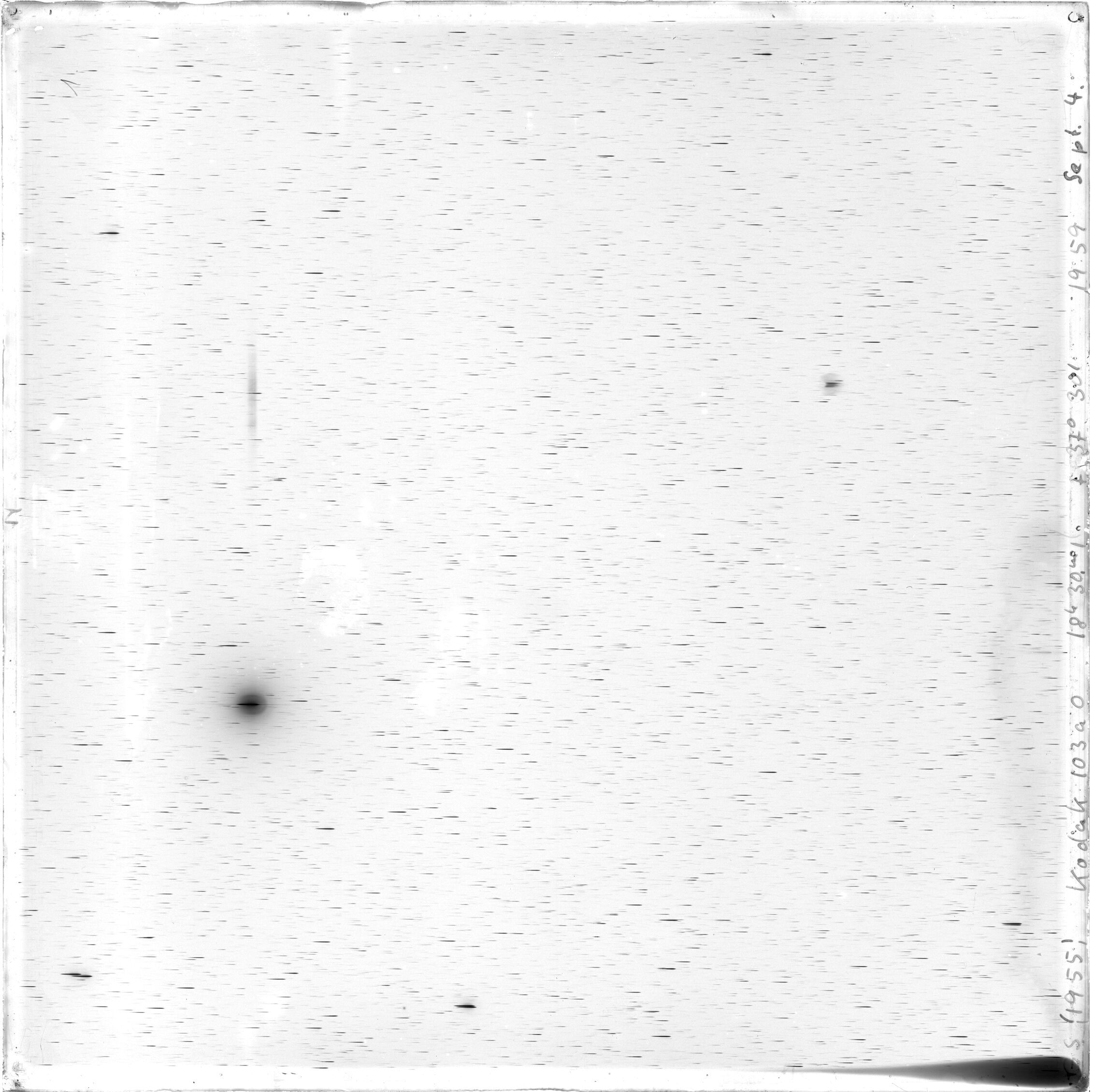 Scan GS01955