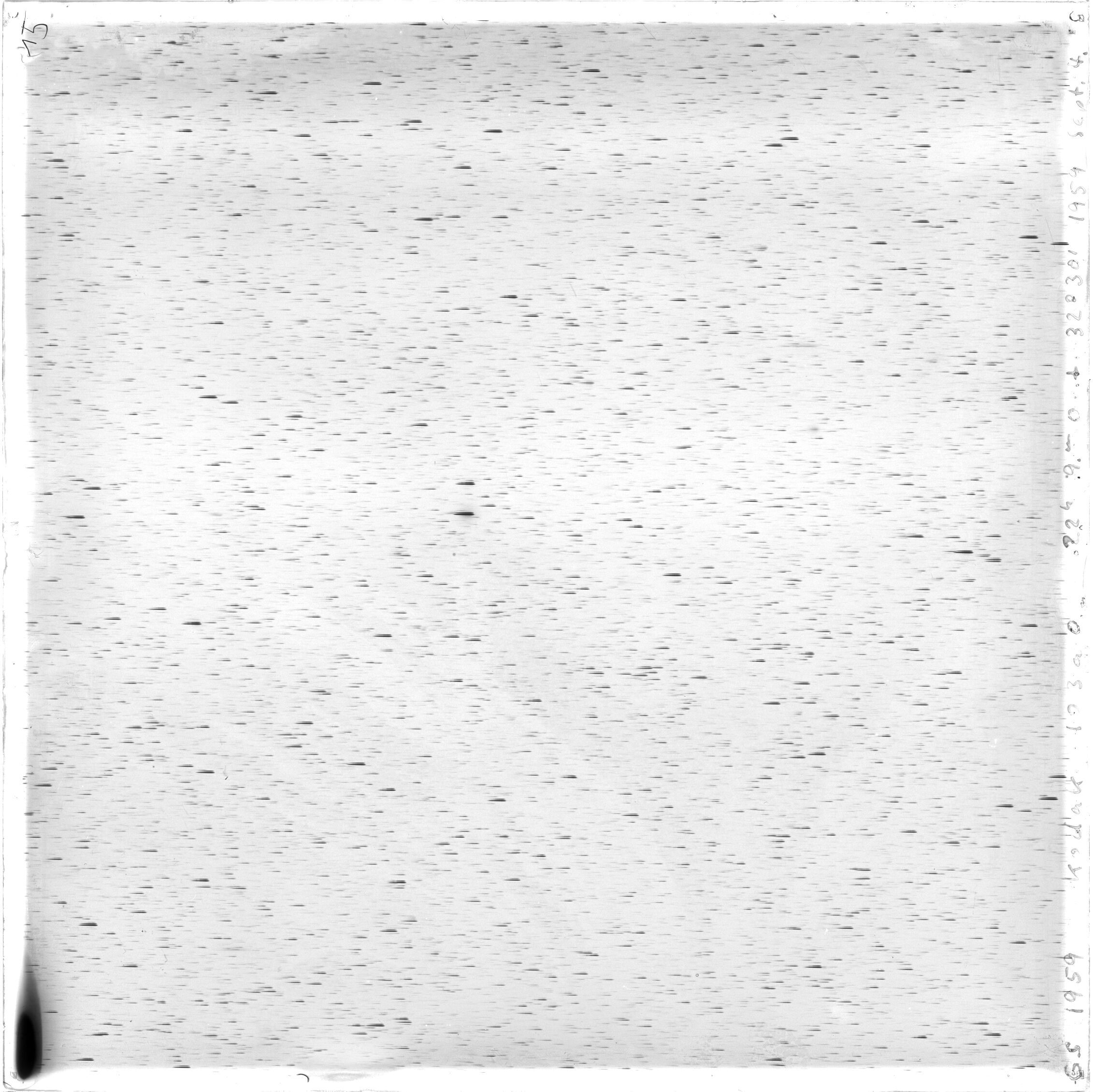 Scan GS01959