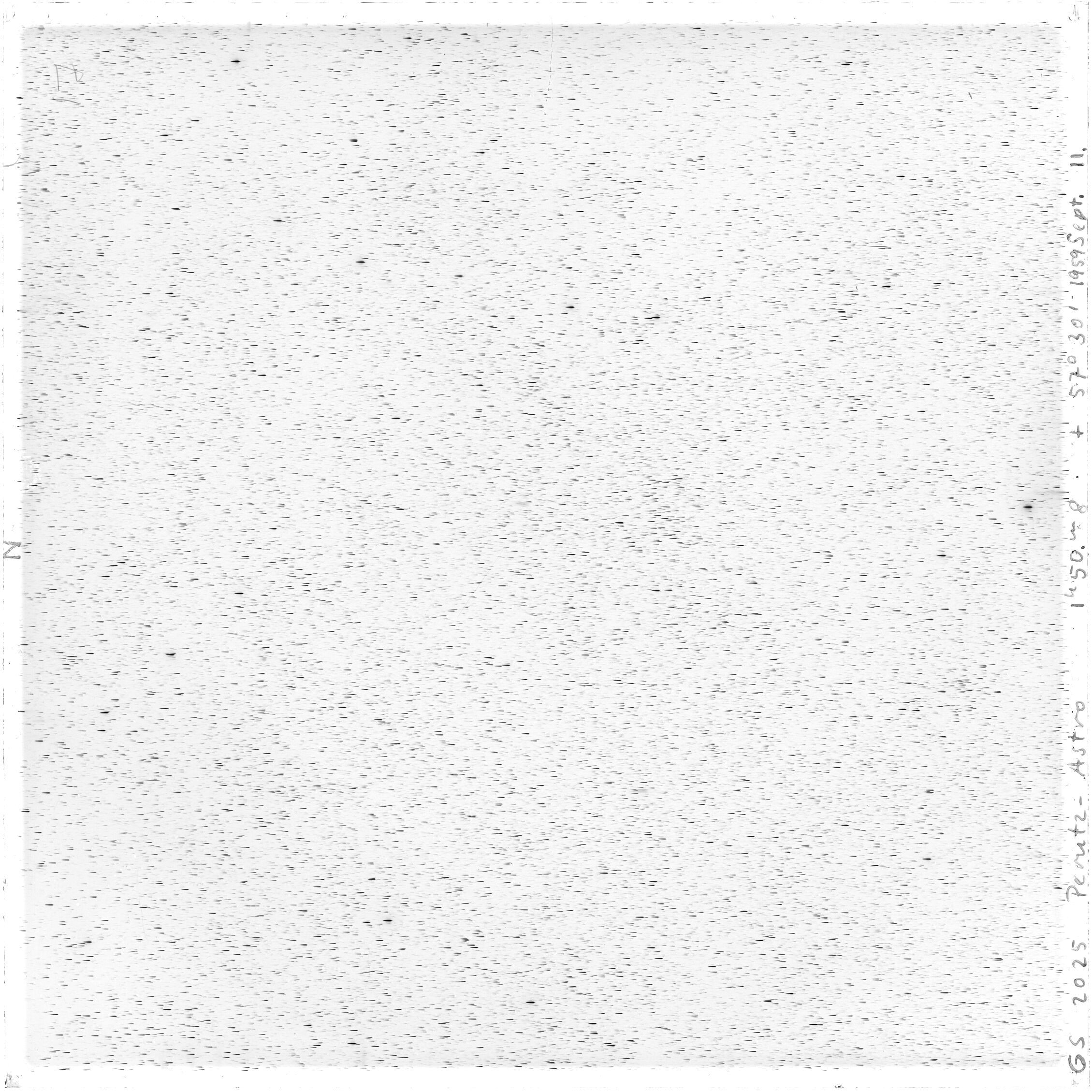 Scan GS02025