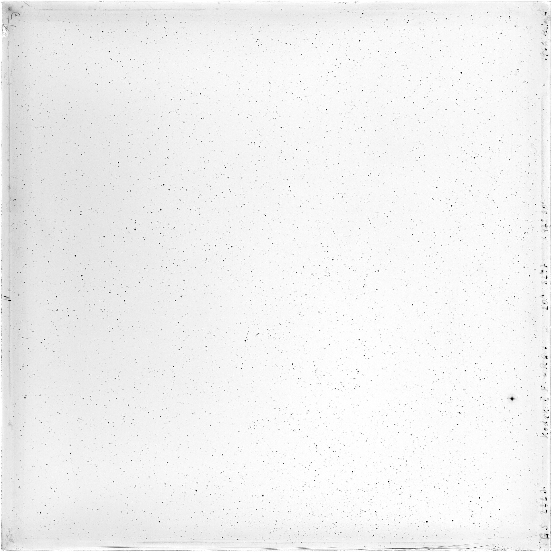 Scan GS02223