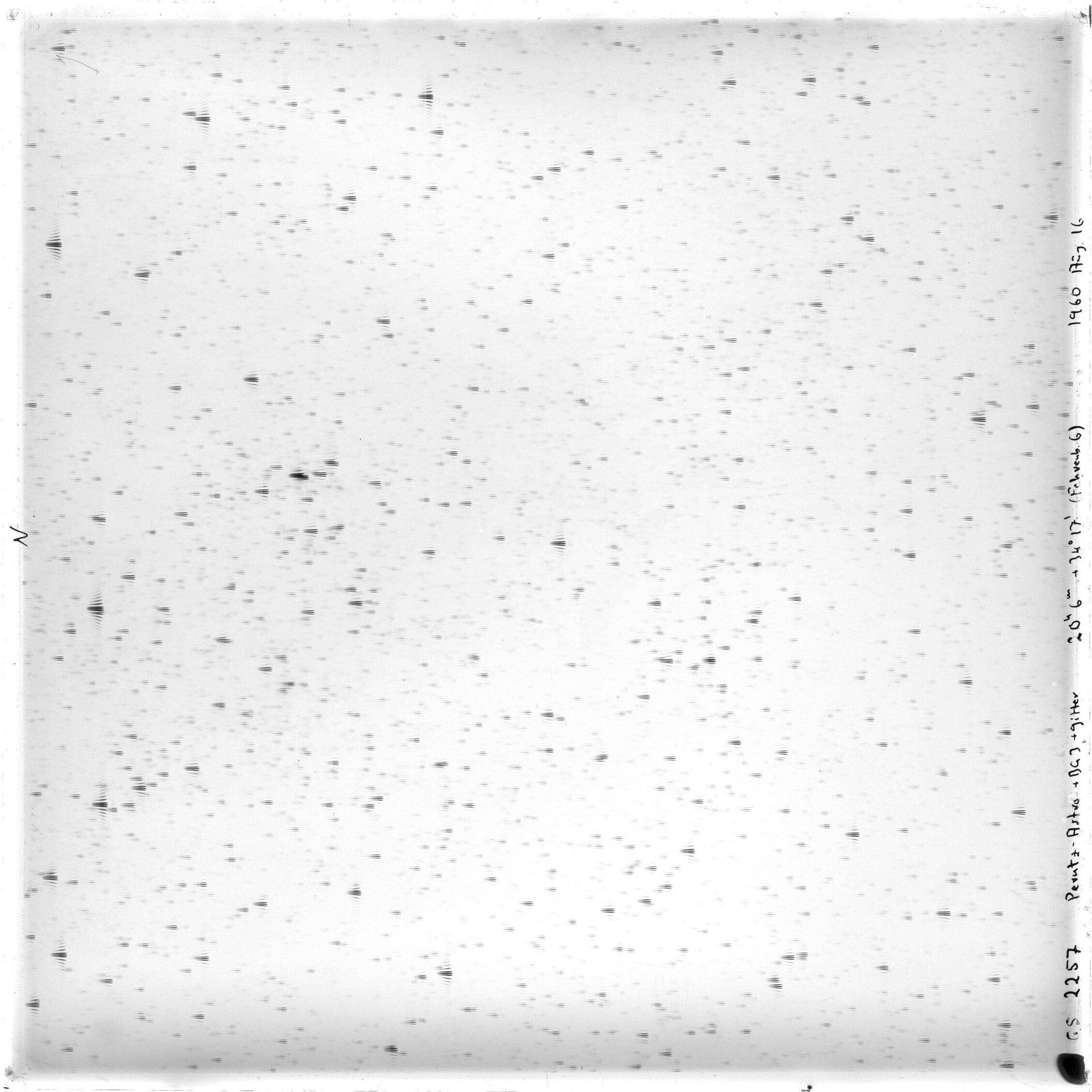 Scan GS02257