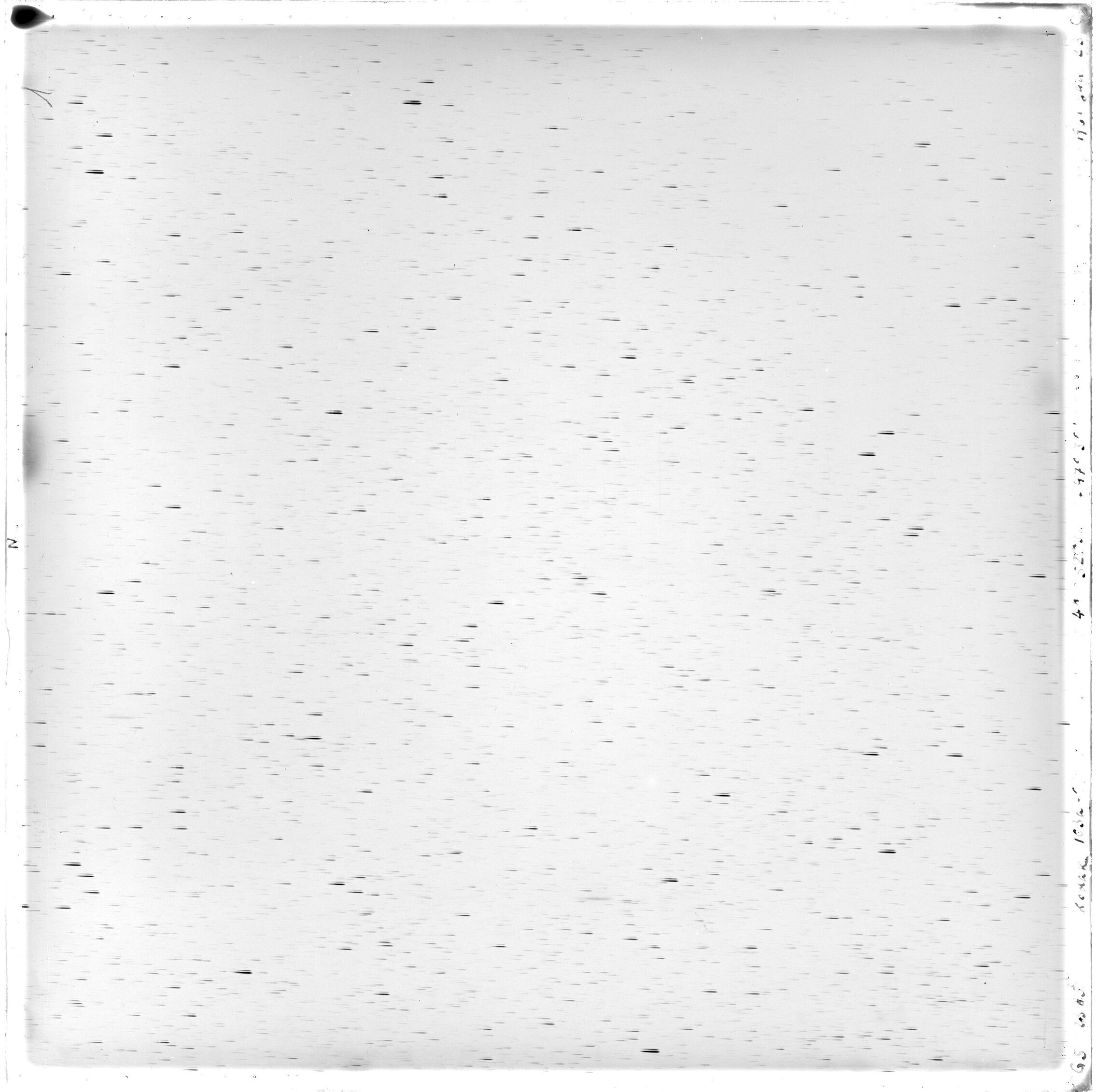 Scan GS02385