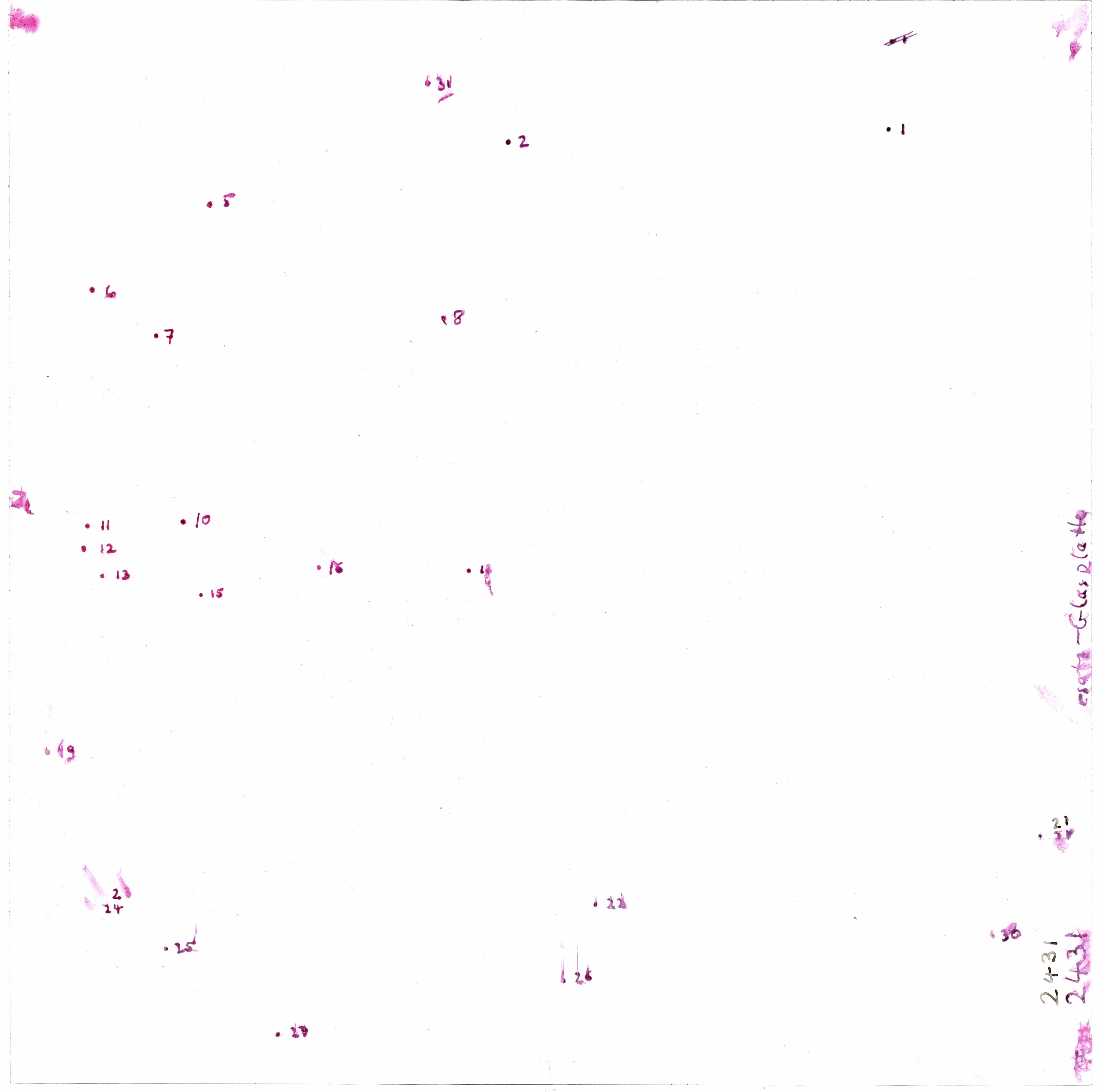Scan GS02431a