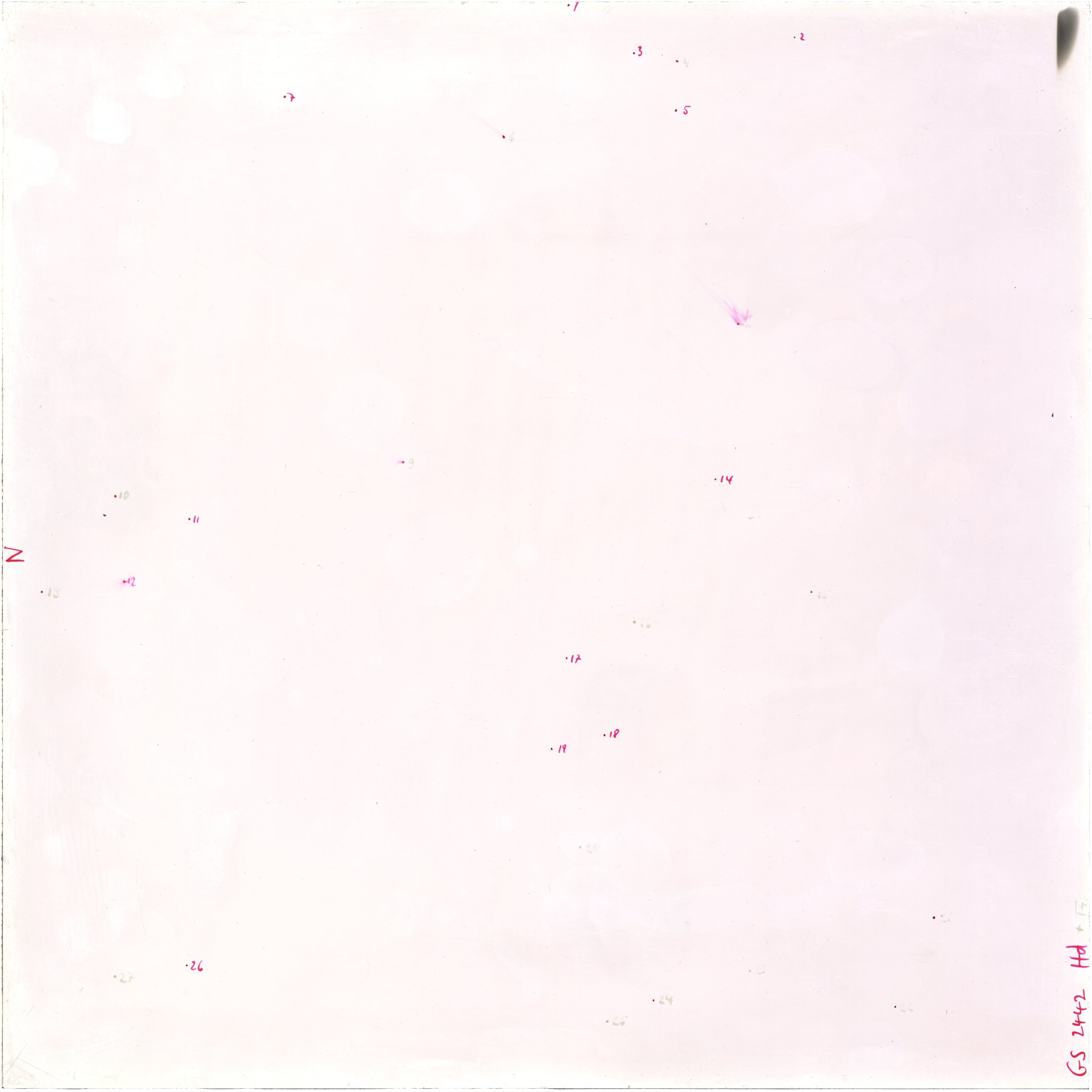 Scan GS02442a