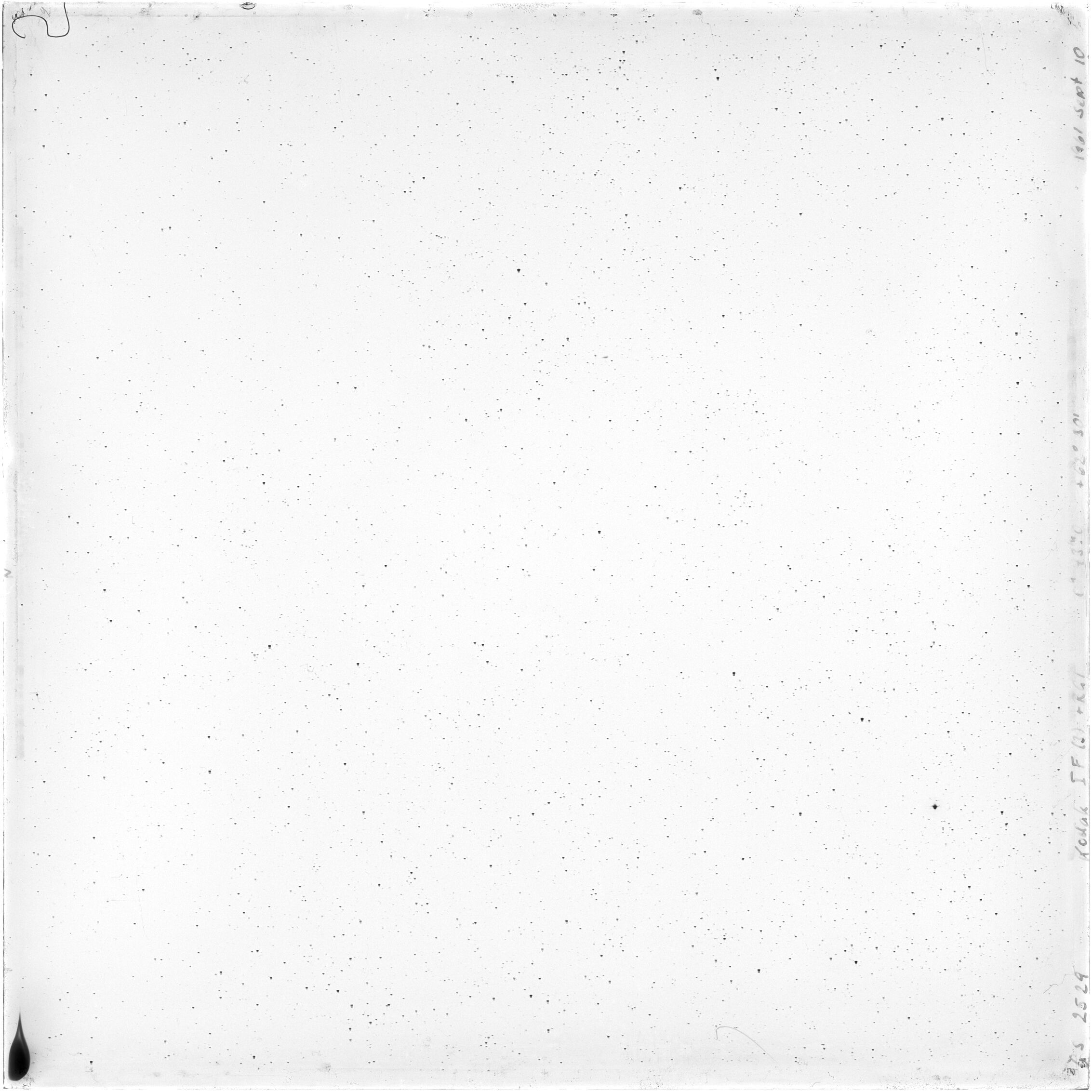 Scan GS02529
