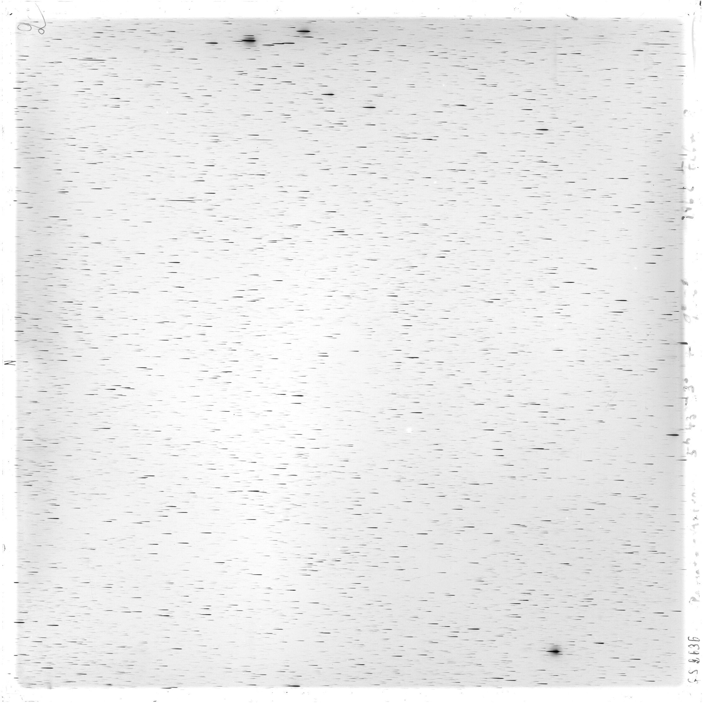 Scan GS02636