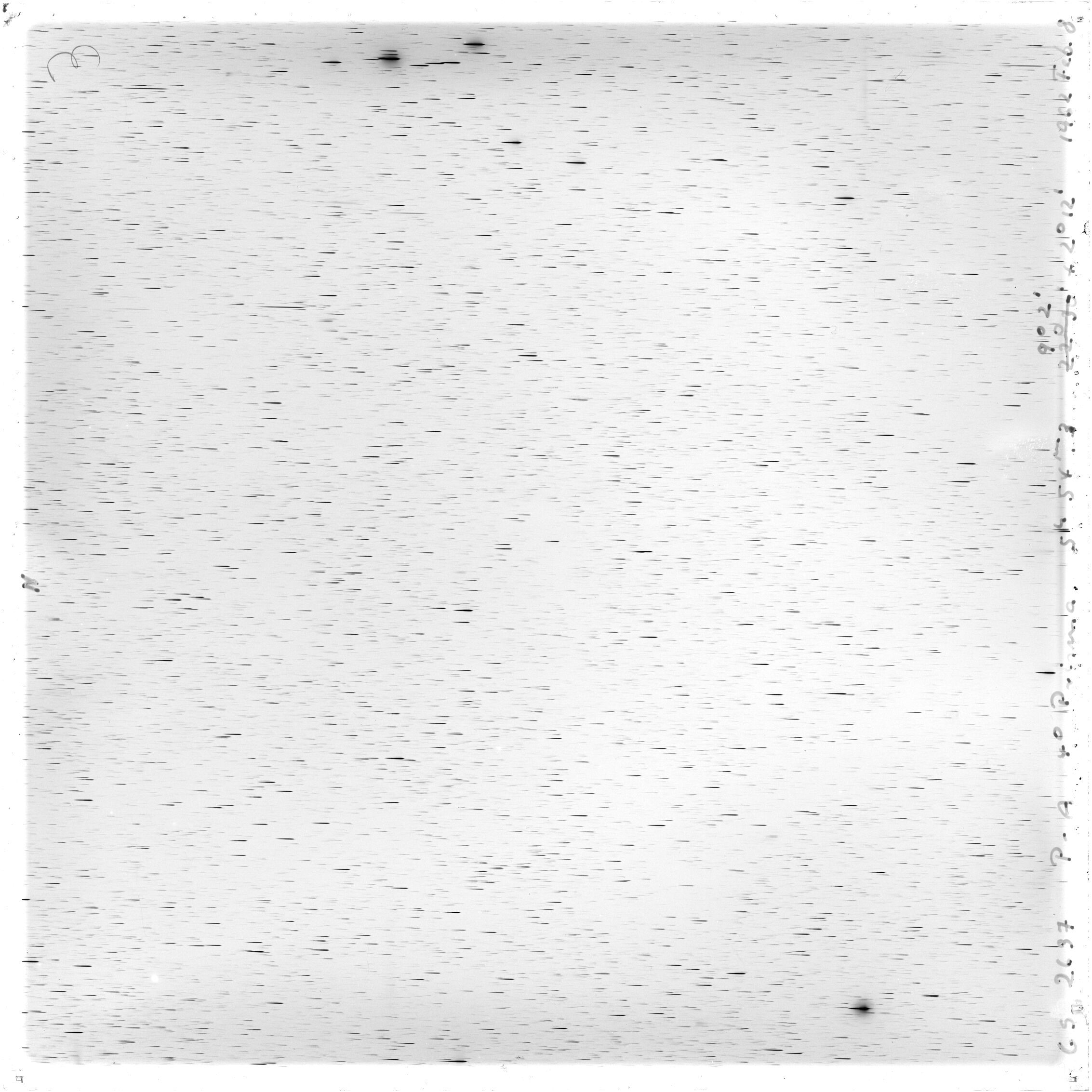 Scan GS02637