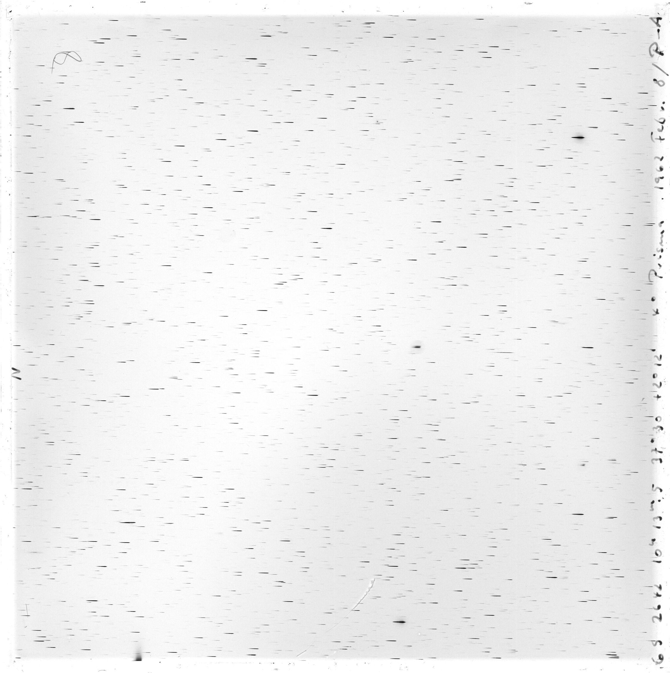 Scan GS02642